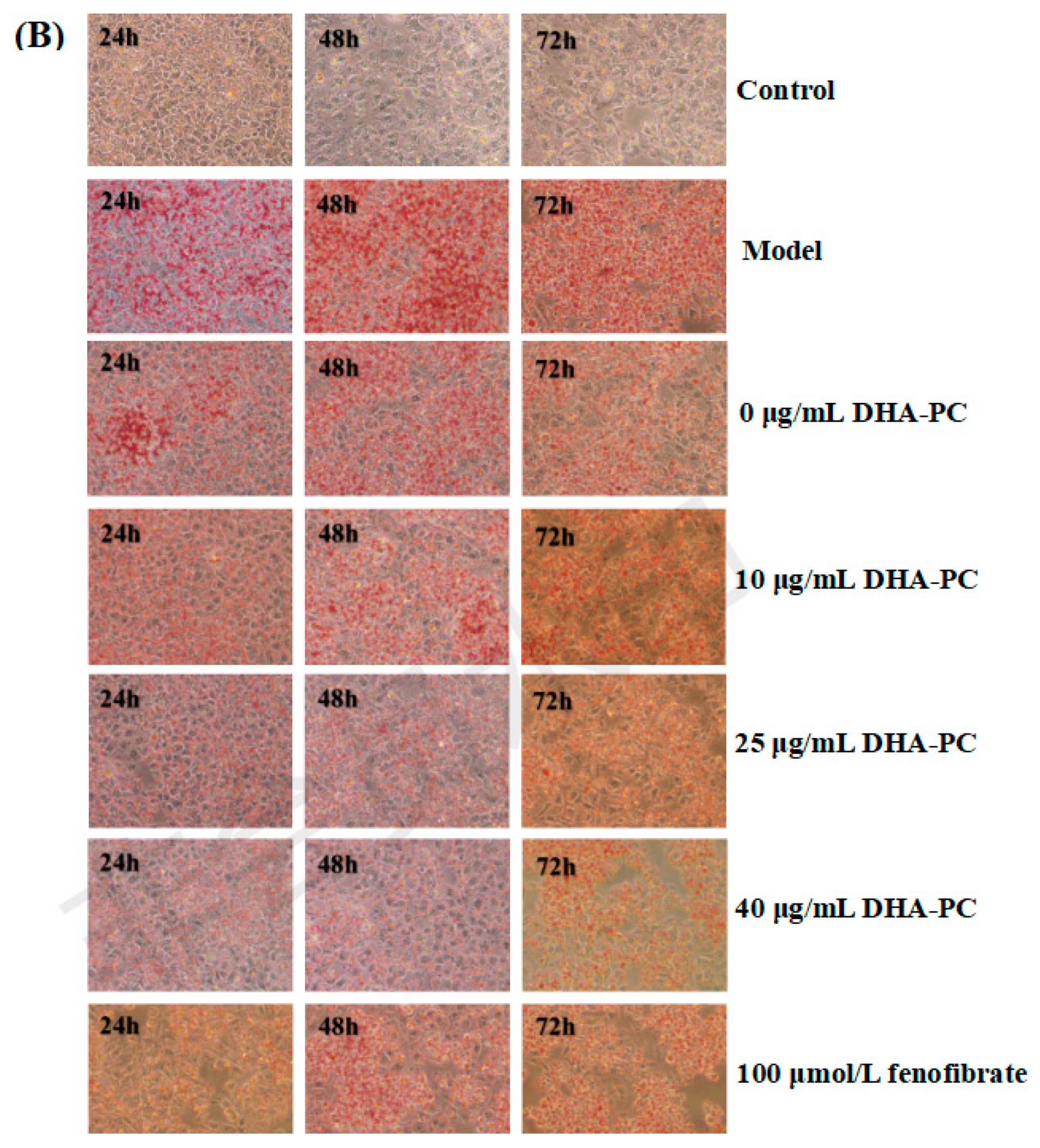Marinedrugs 17 00485 g003b