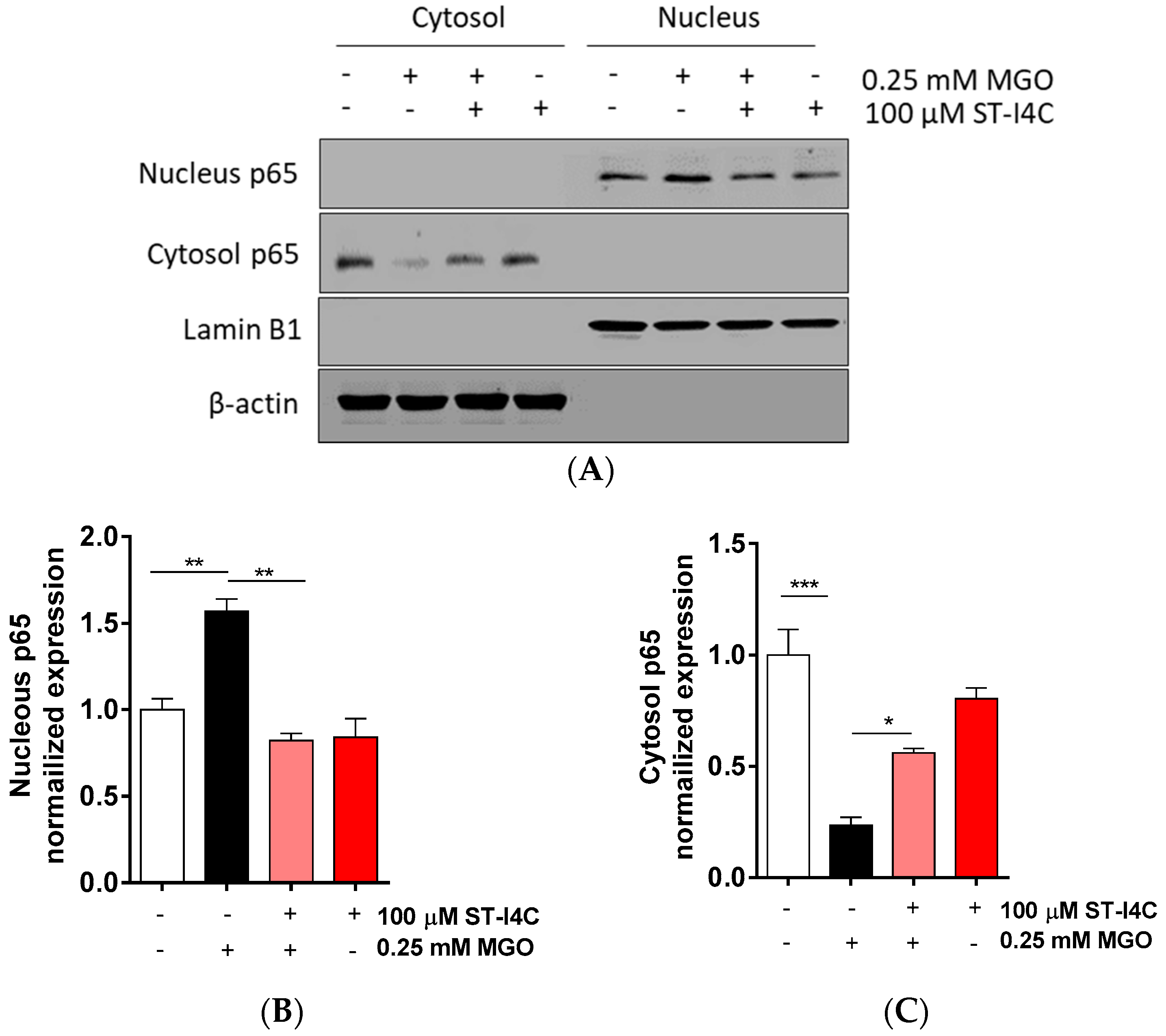 Marinedrugs 17 00486 g002