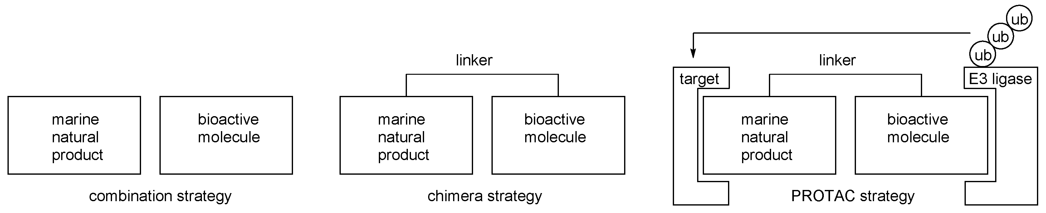Marinedrugs 17 00500 g003 Marinedrugs 17 00500 g003