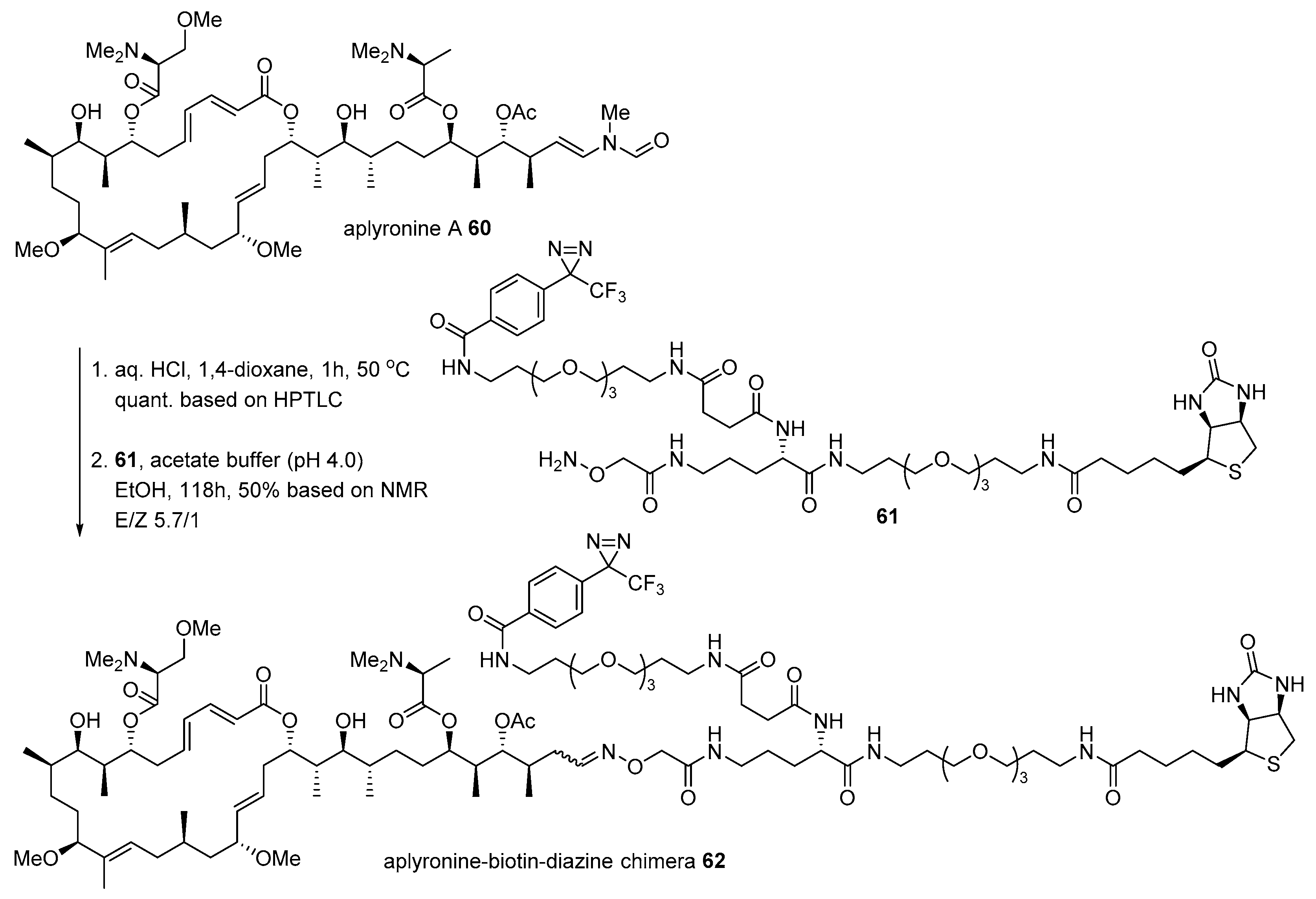 Marinedrugs 17 00500 sch009 Marinedrugs 17 00500 sch009