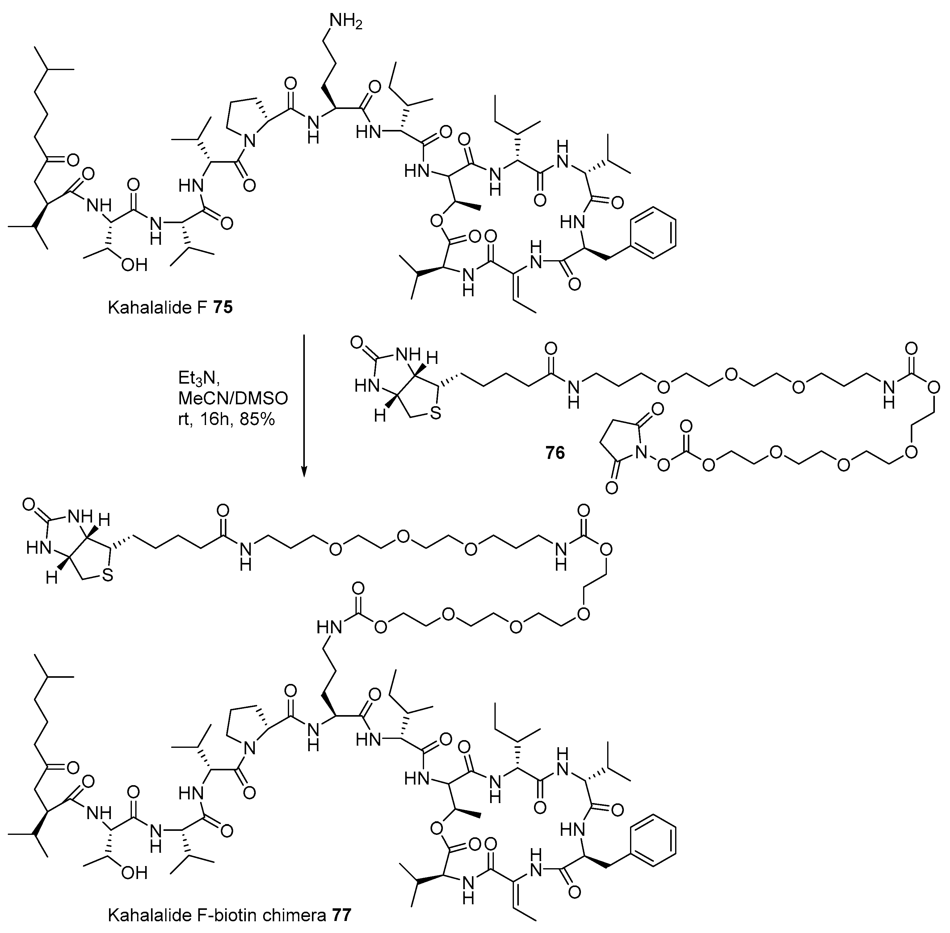Marinedrugs 17 00500 sch011 Marinedrugs 17 00500 sch011