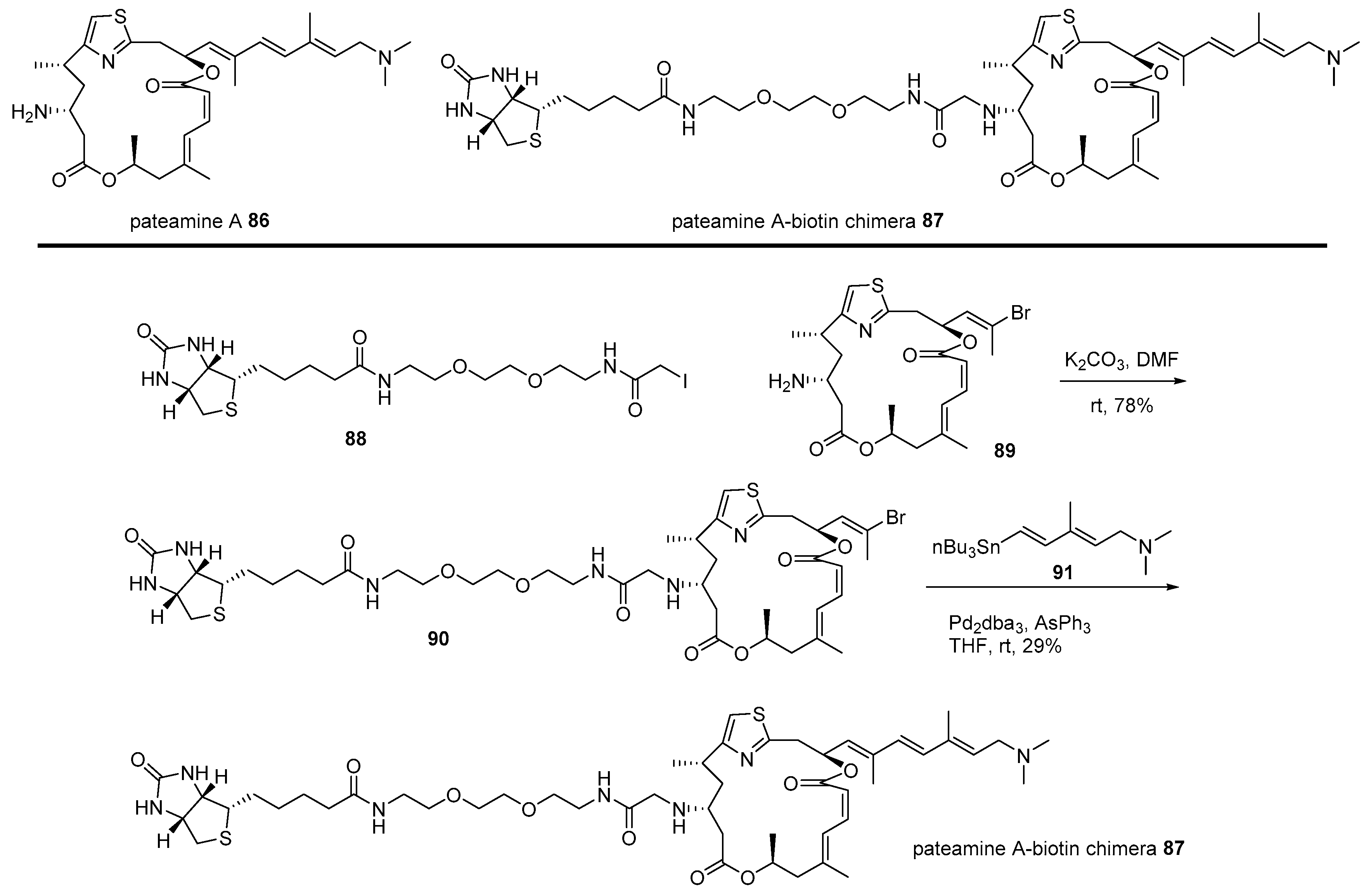Marinedrugs 17 00500 sch013 Marinedrugs 17 00500 sch013