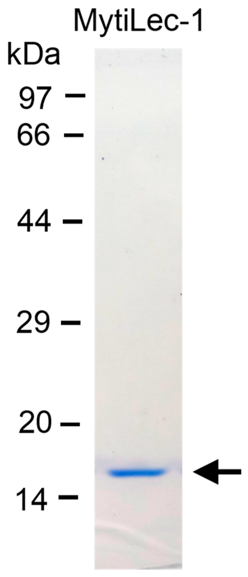 Marinedrugs 17 00502 g001