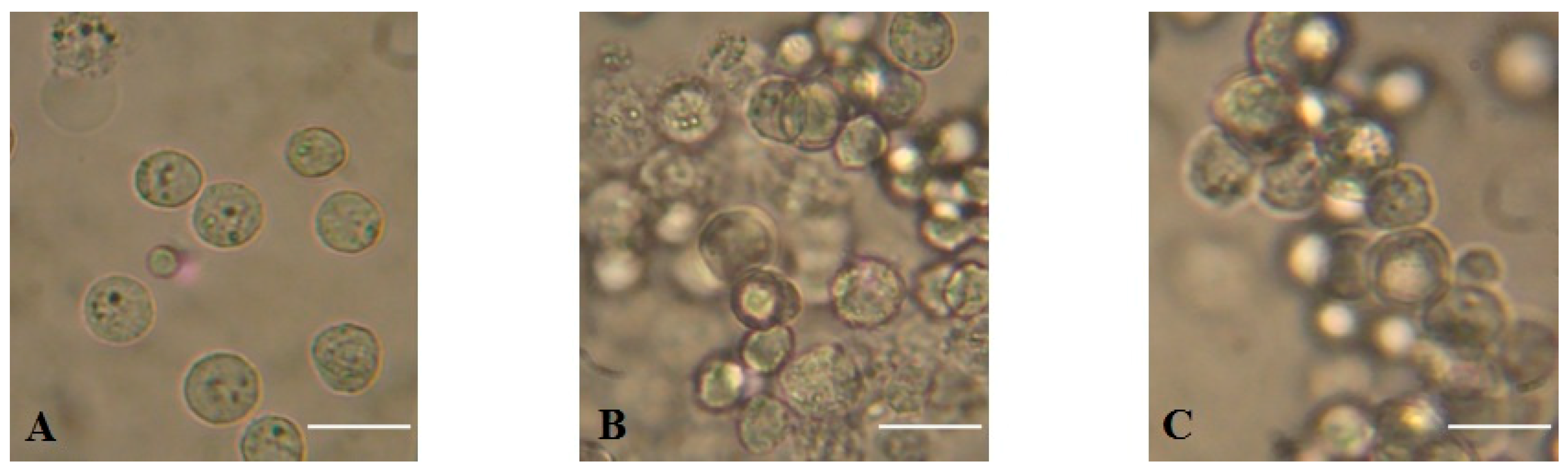 Marinedrugs 17 00502 g004