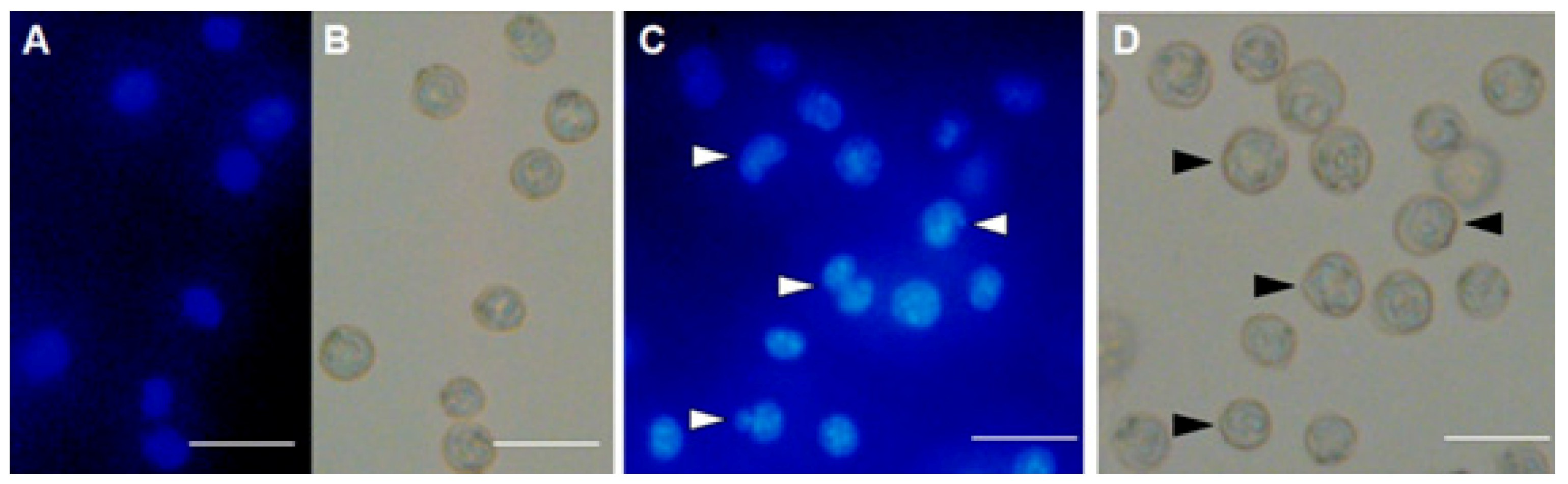 Marinedrugs 17 00502 g006