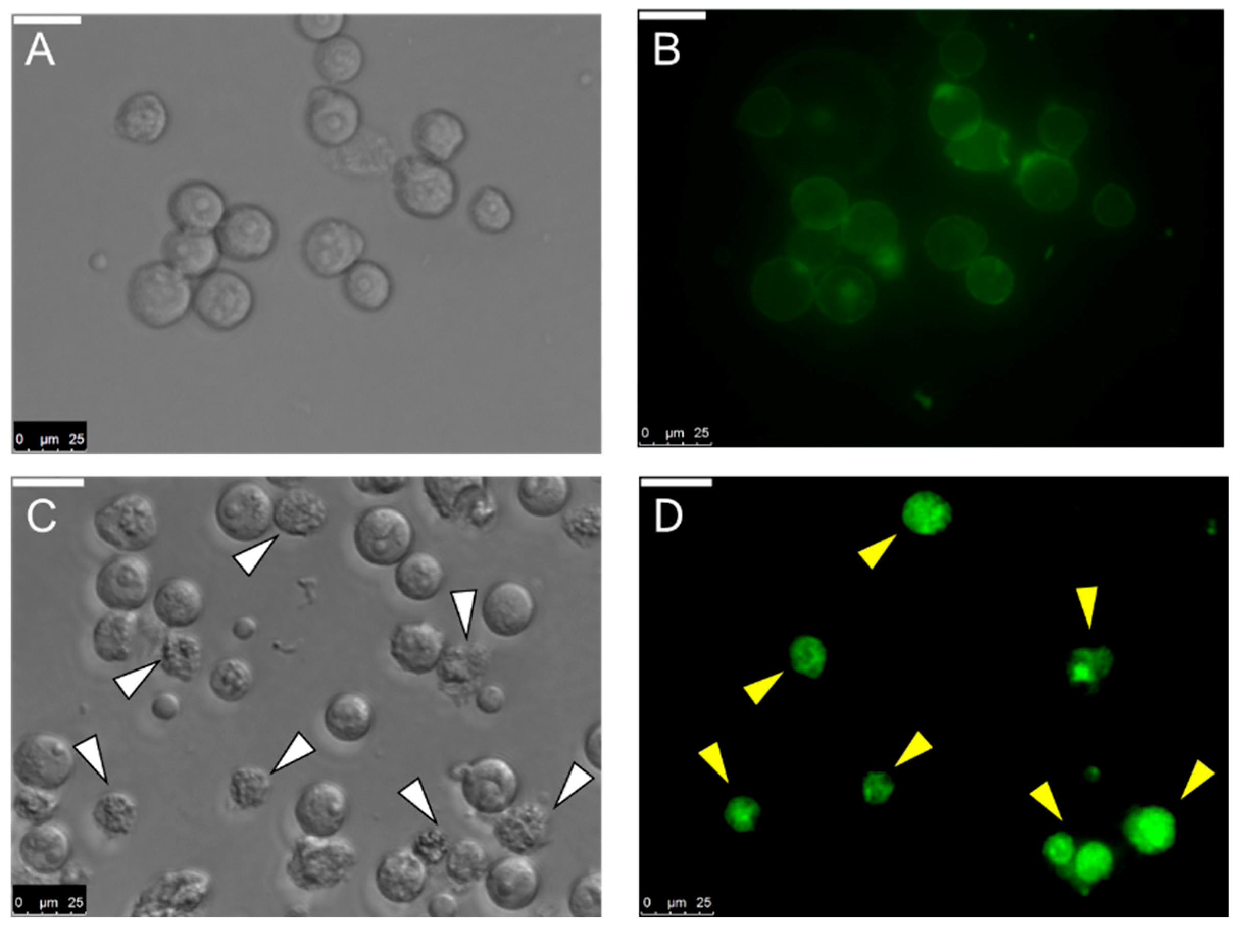 Marinedrugs 17 00502 g008