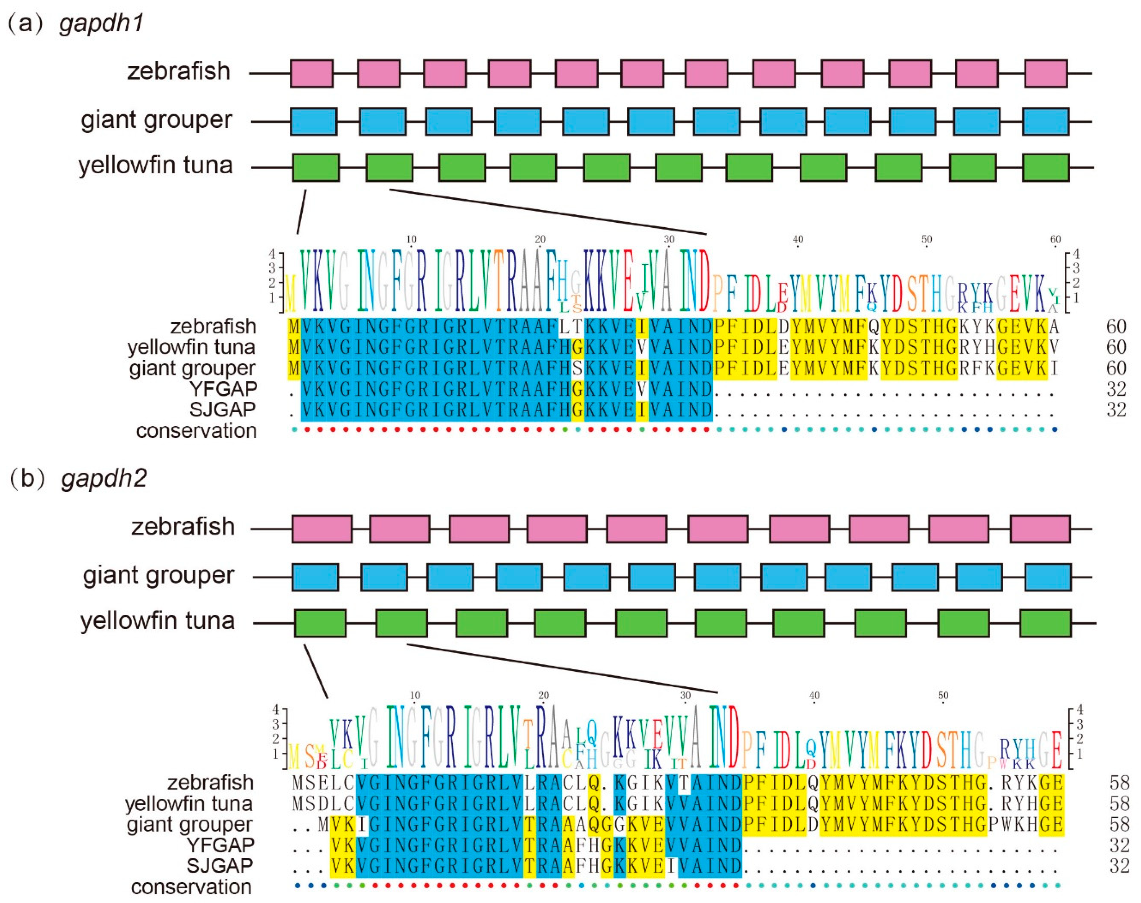 Marinedrugs 17 00503 g005