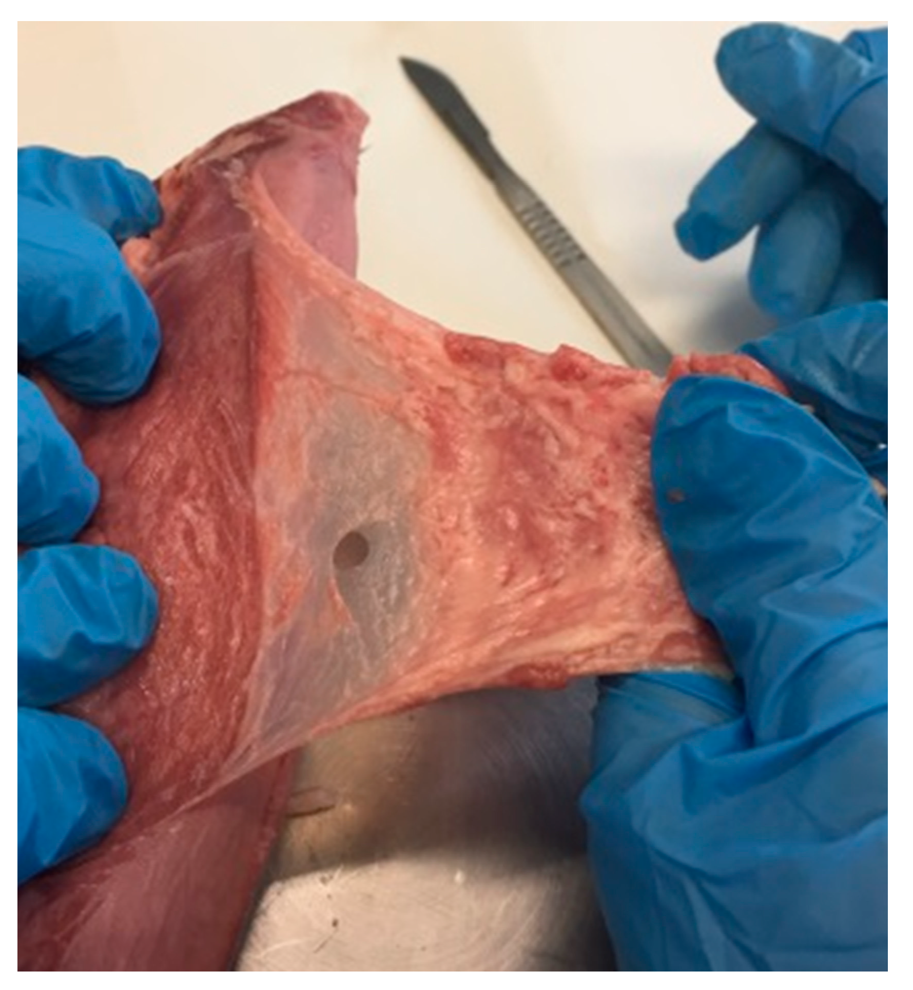 Marinedrugs 17 00508 g002