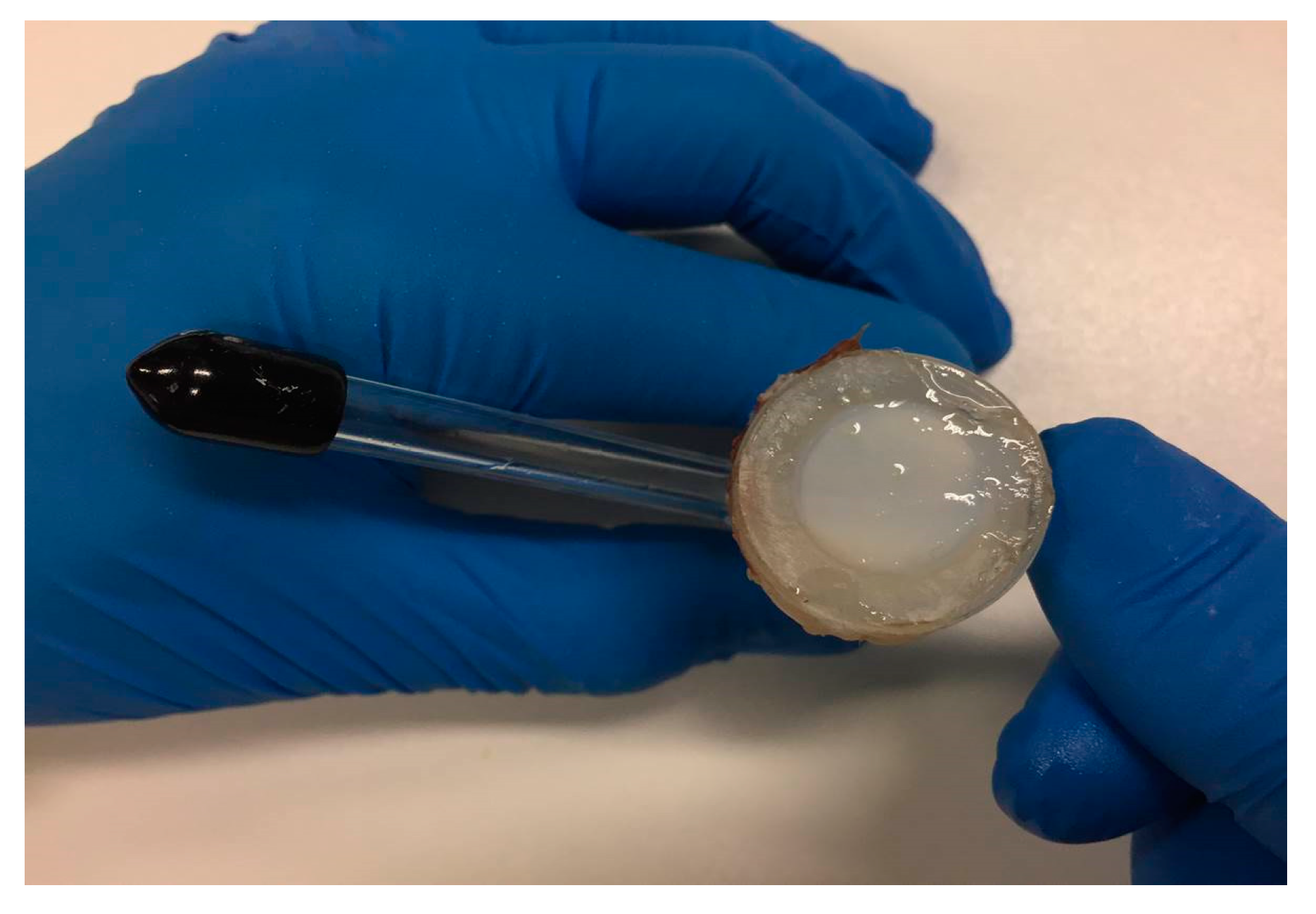 Marinedrugs 17 00508 g003