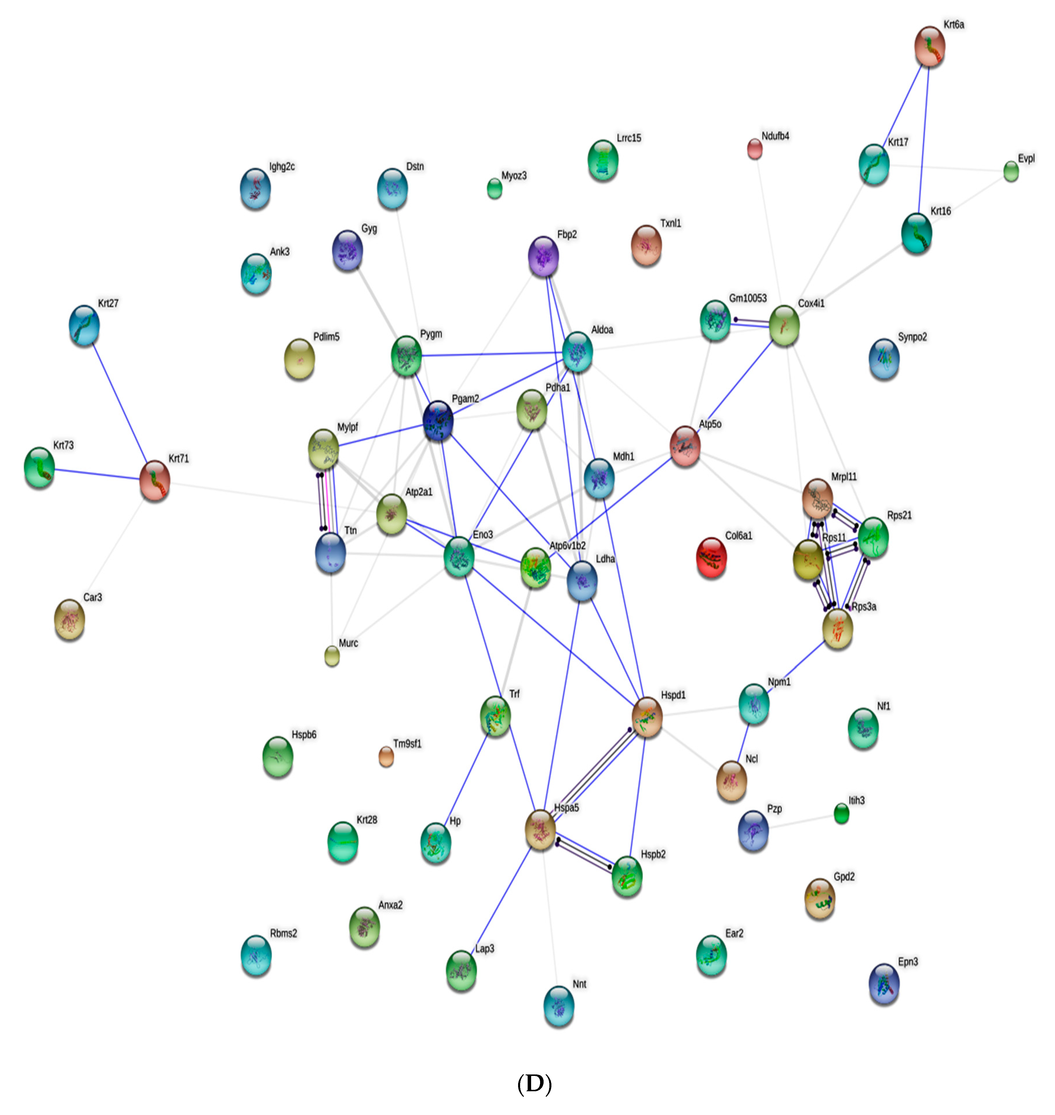 Marinedrugs 17 00520 g004d