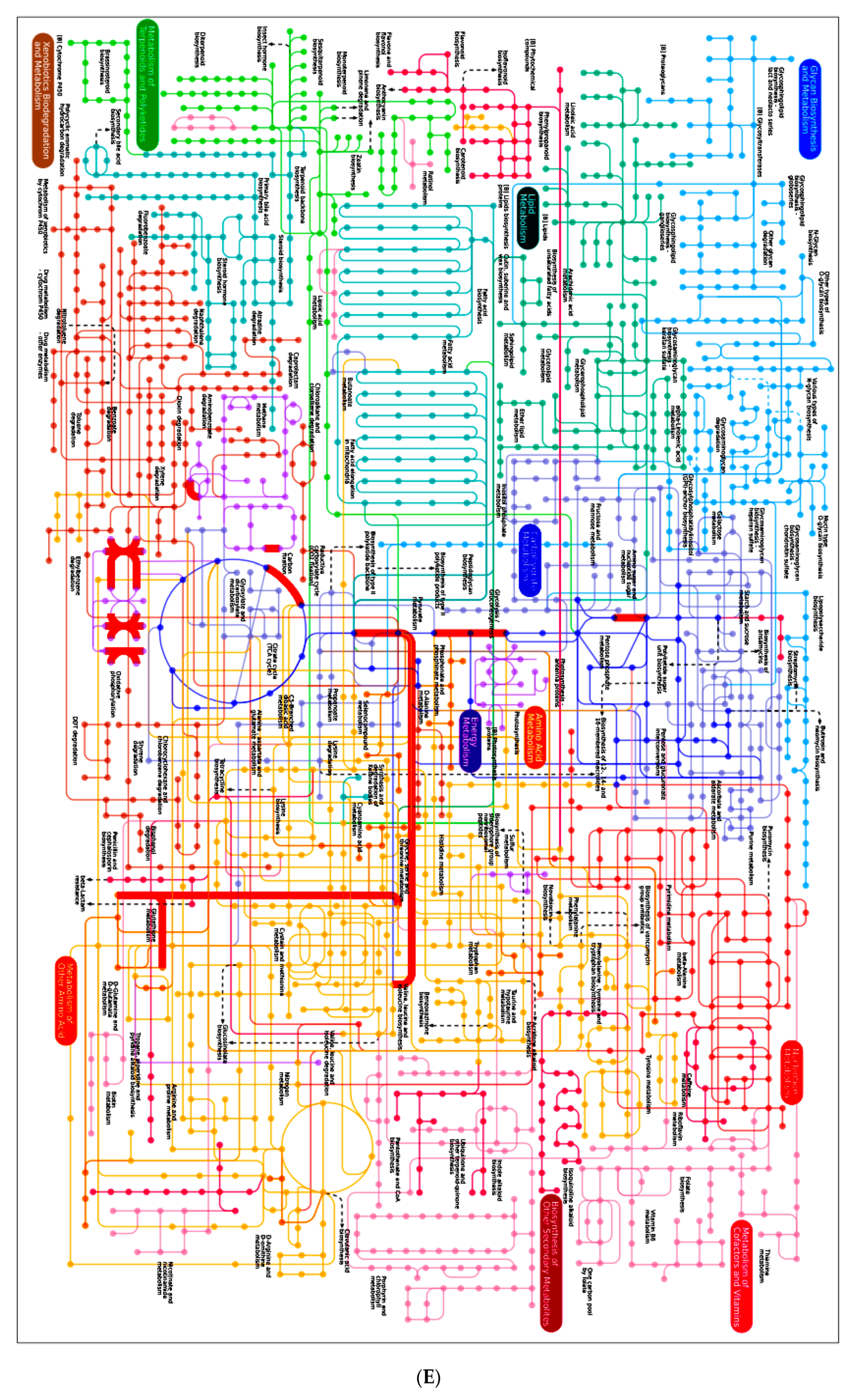 Marinedrugs 17 00520 g004e