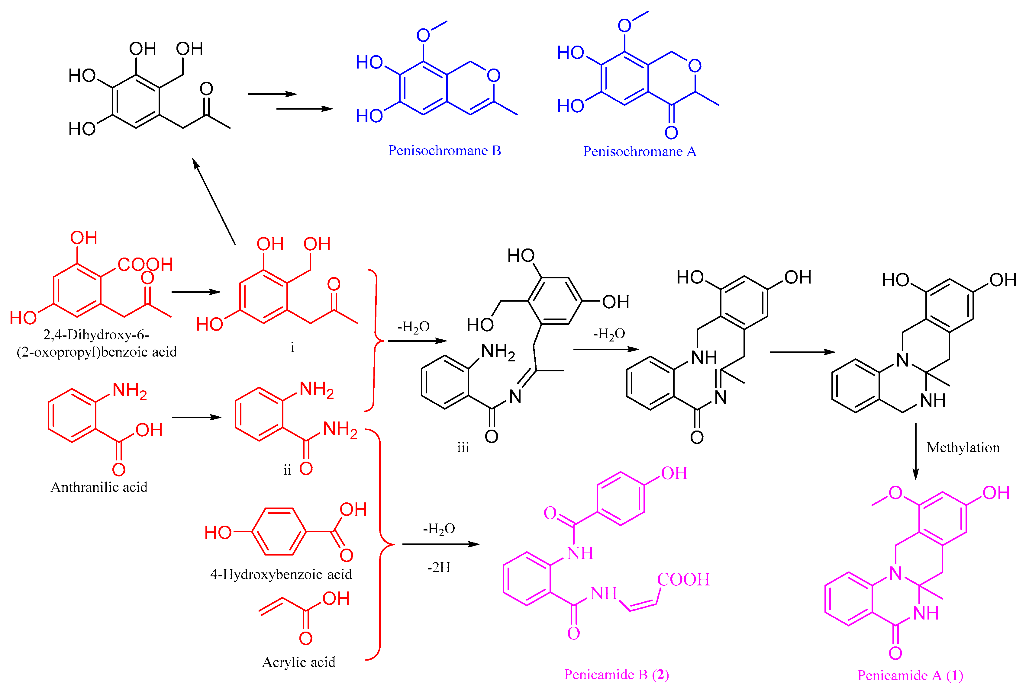 Marinedrugs 17 00522 g006