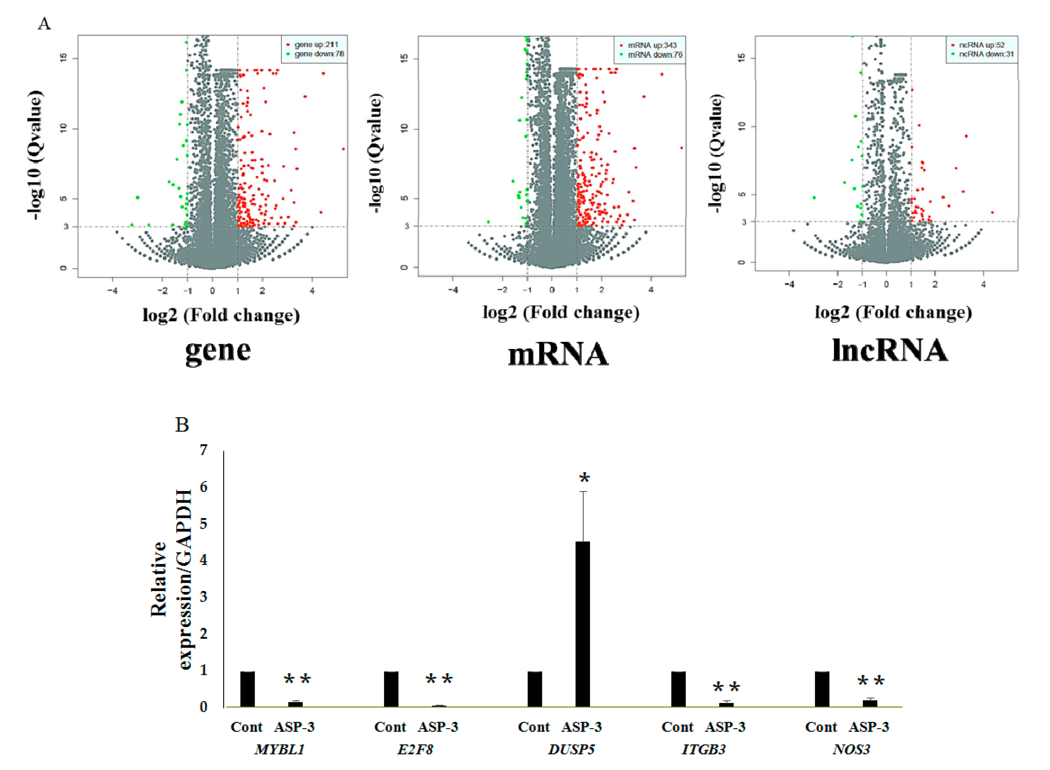 Marinedrugs 17 00528 g006