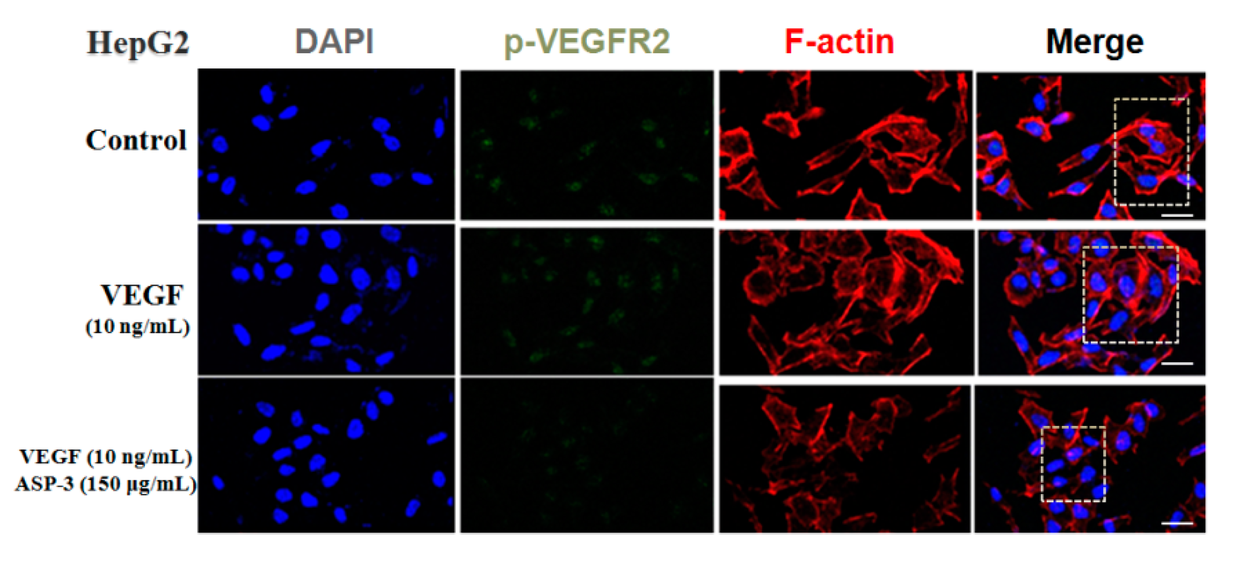 Marinedrugs 17 00528 g007
