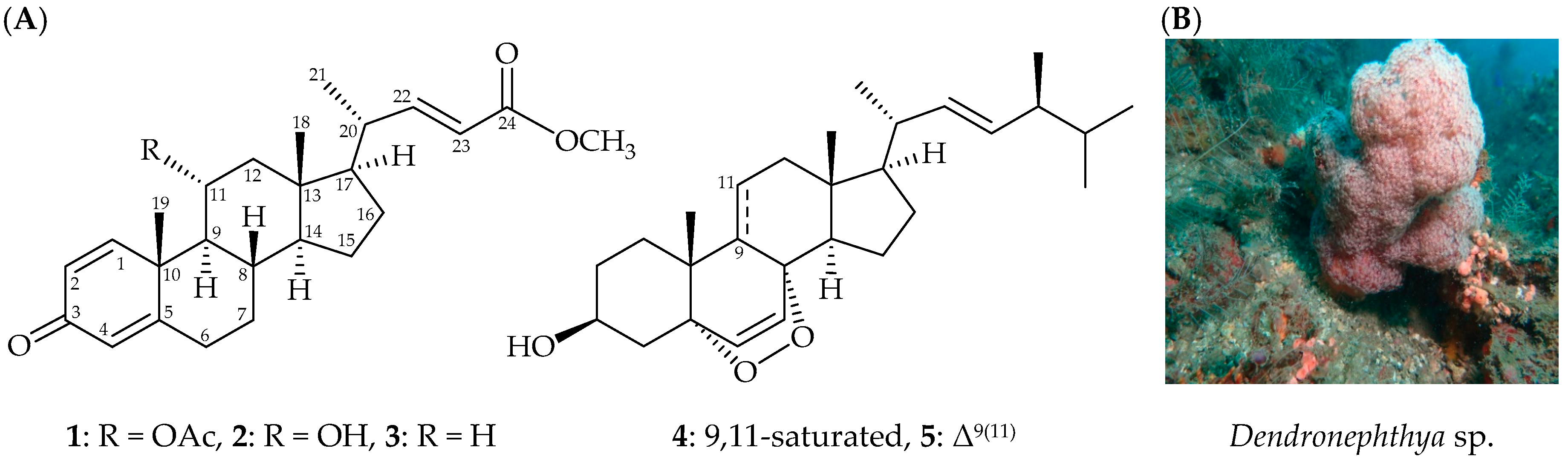 Marinedrugs 17 00530 g001