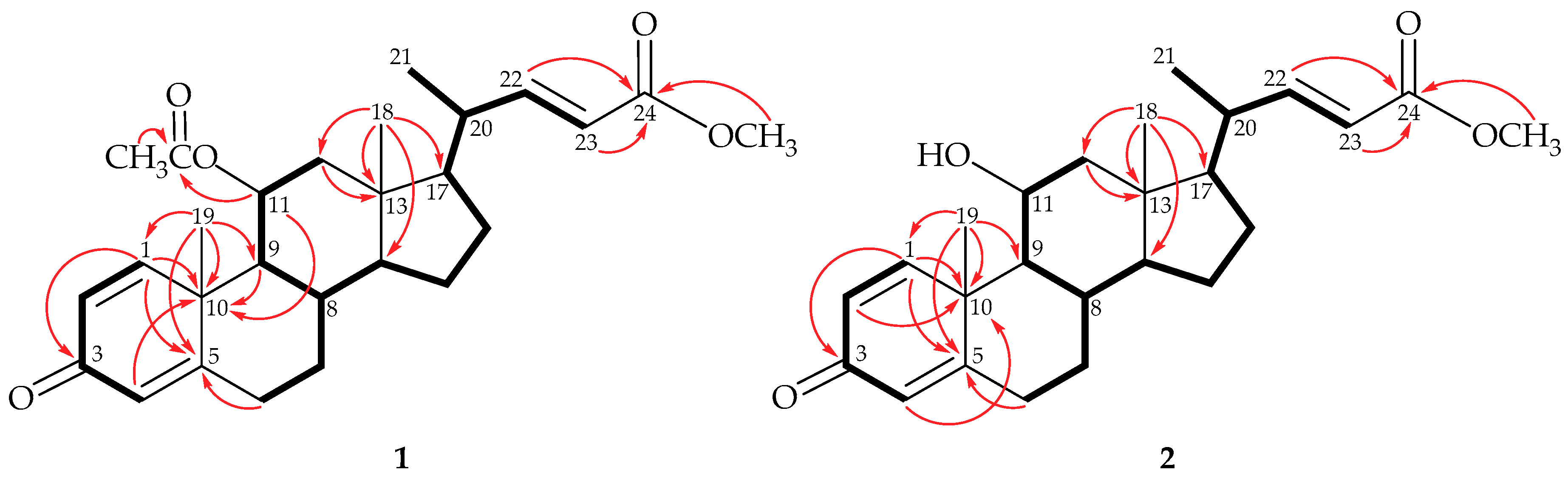 Marinedrugs 17 00530 g002