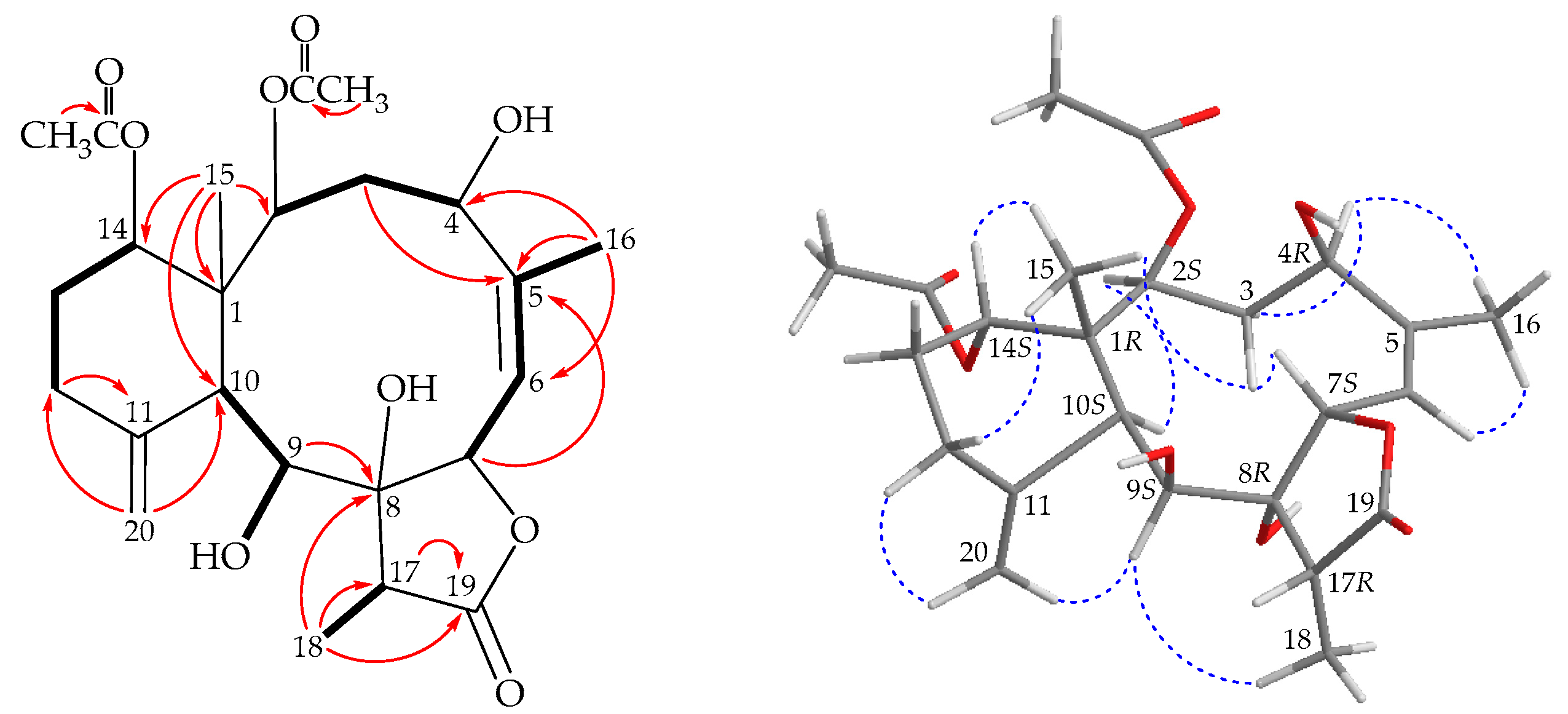 Marinedrugs 17 00534 g002