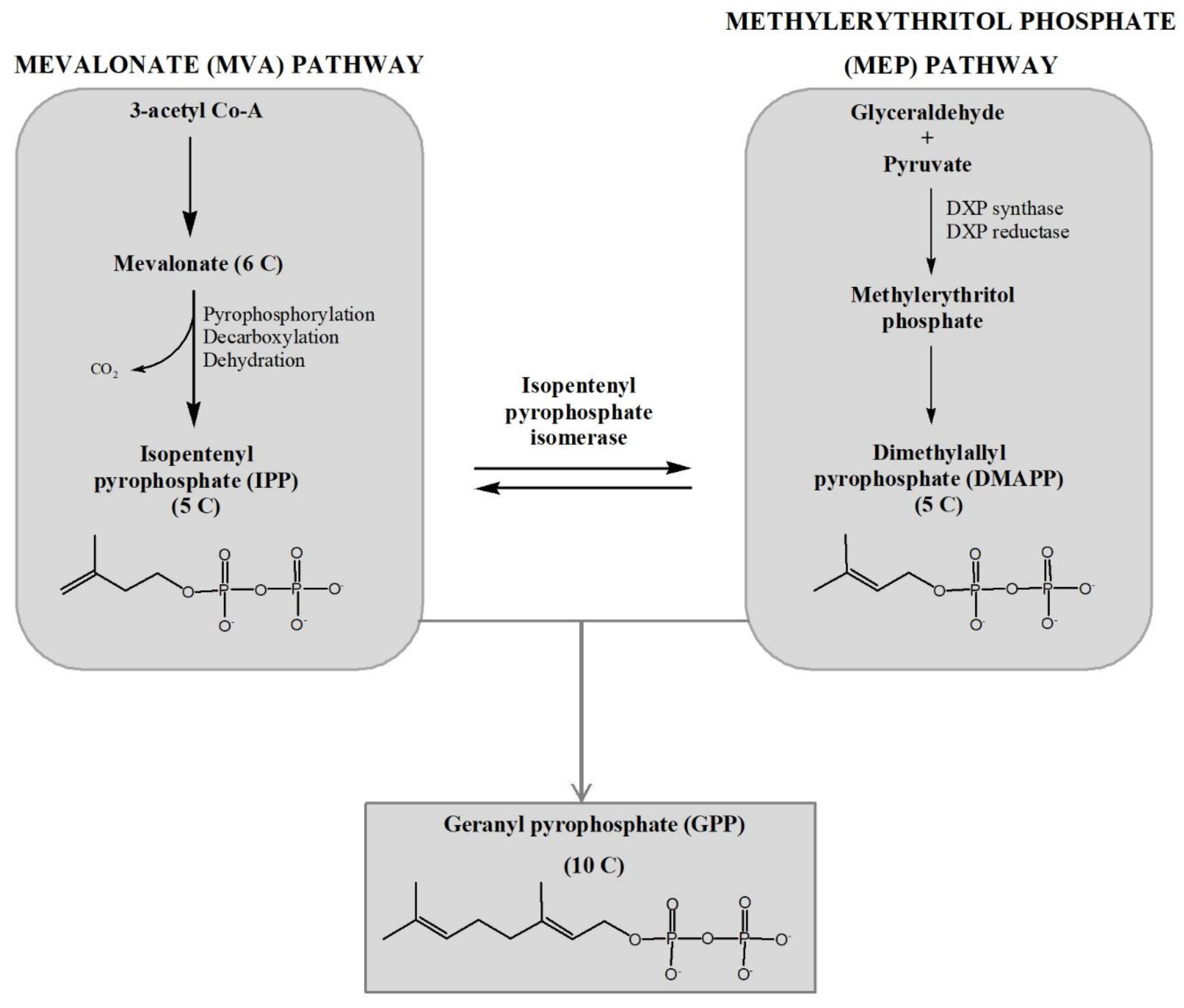 Marinedrugs 17 00537 g001