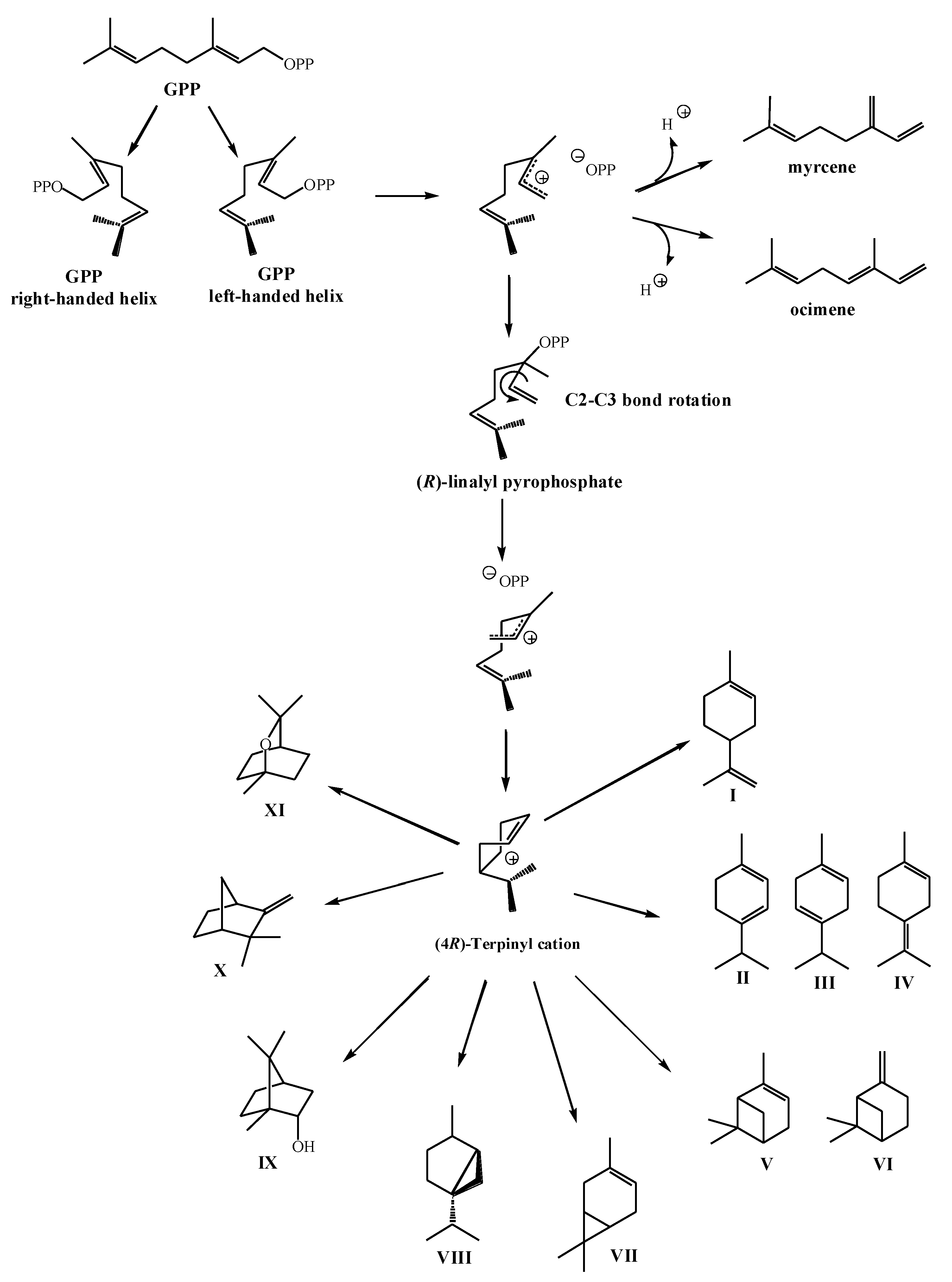 Marinedrugs 17 00537 g002