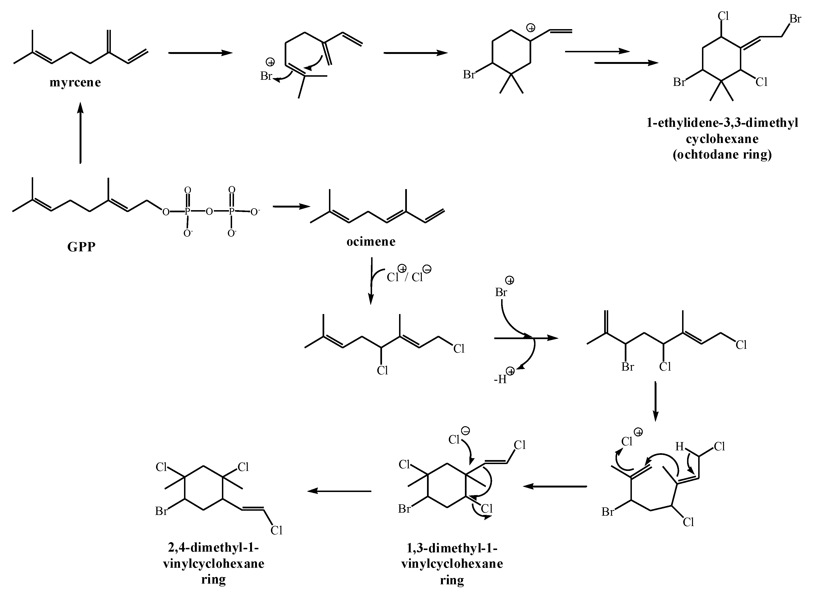 Marinedrugs 17 00537 g003