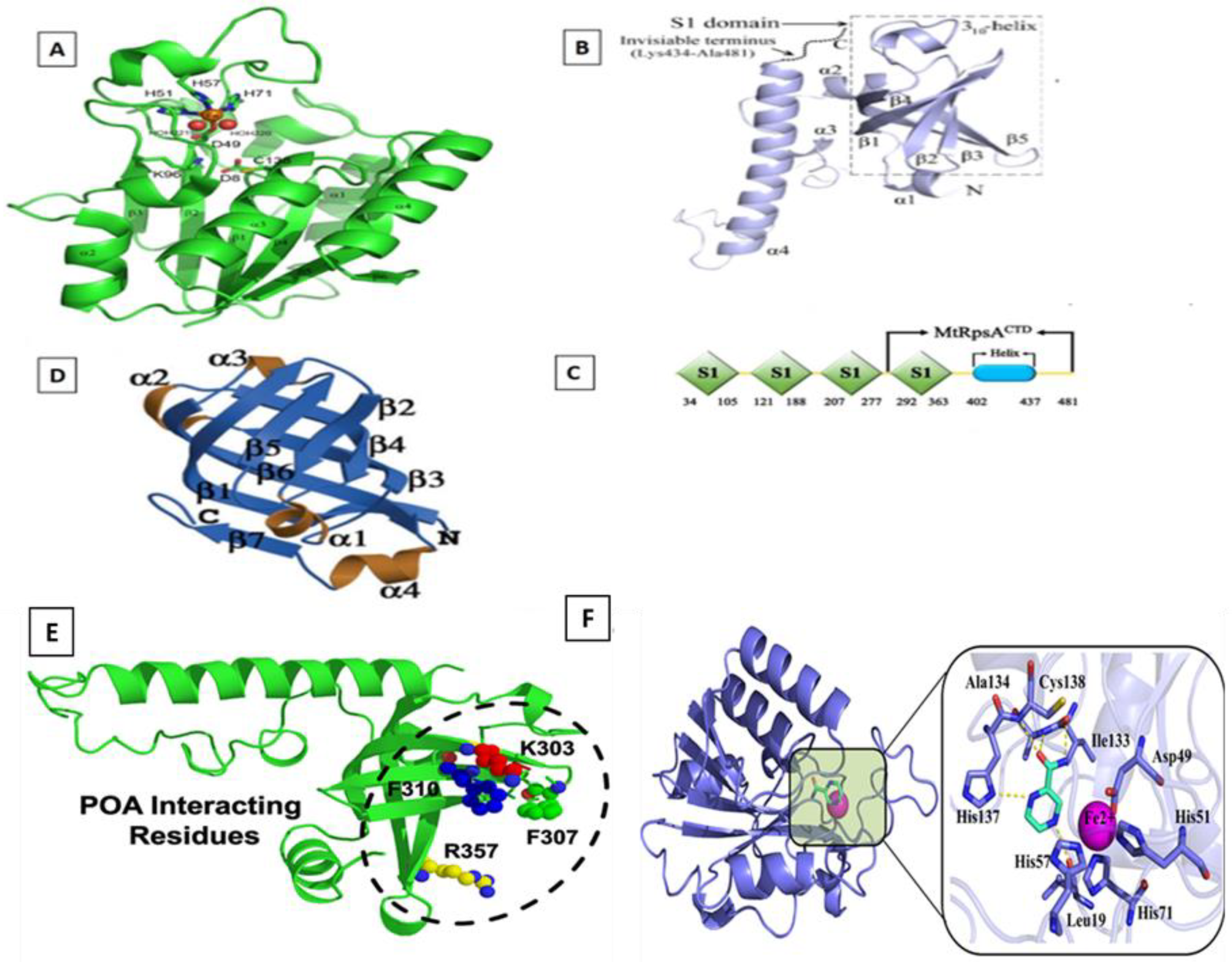 Marinedrugs 17 00549 g001 Marinedrugs 17 00549 g001