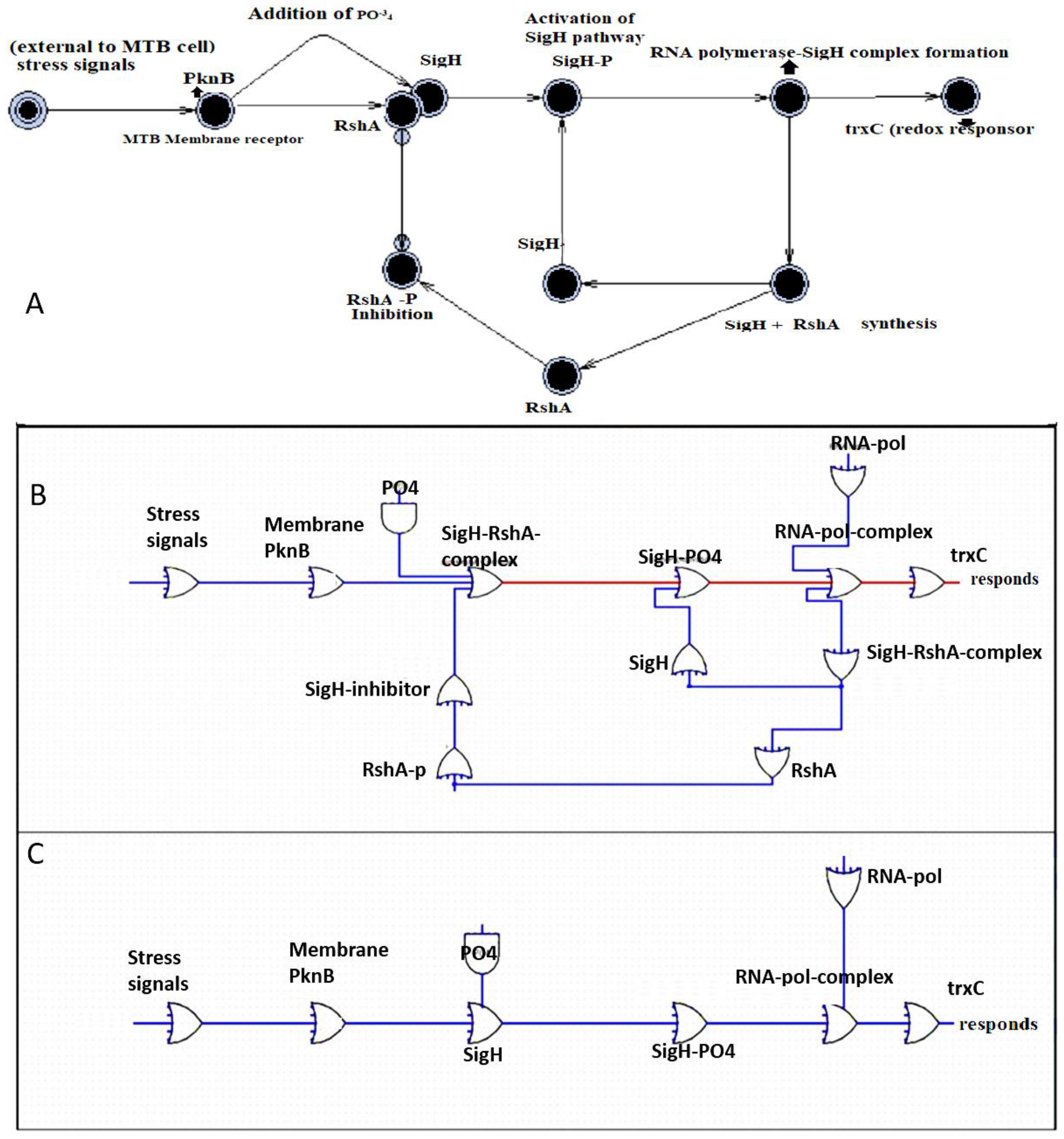 Marinedrugs 17 00549 g003 Marinedrugs 17 00549 g003