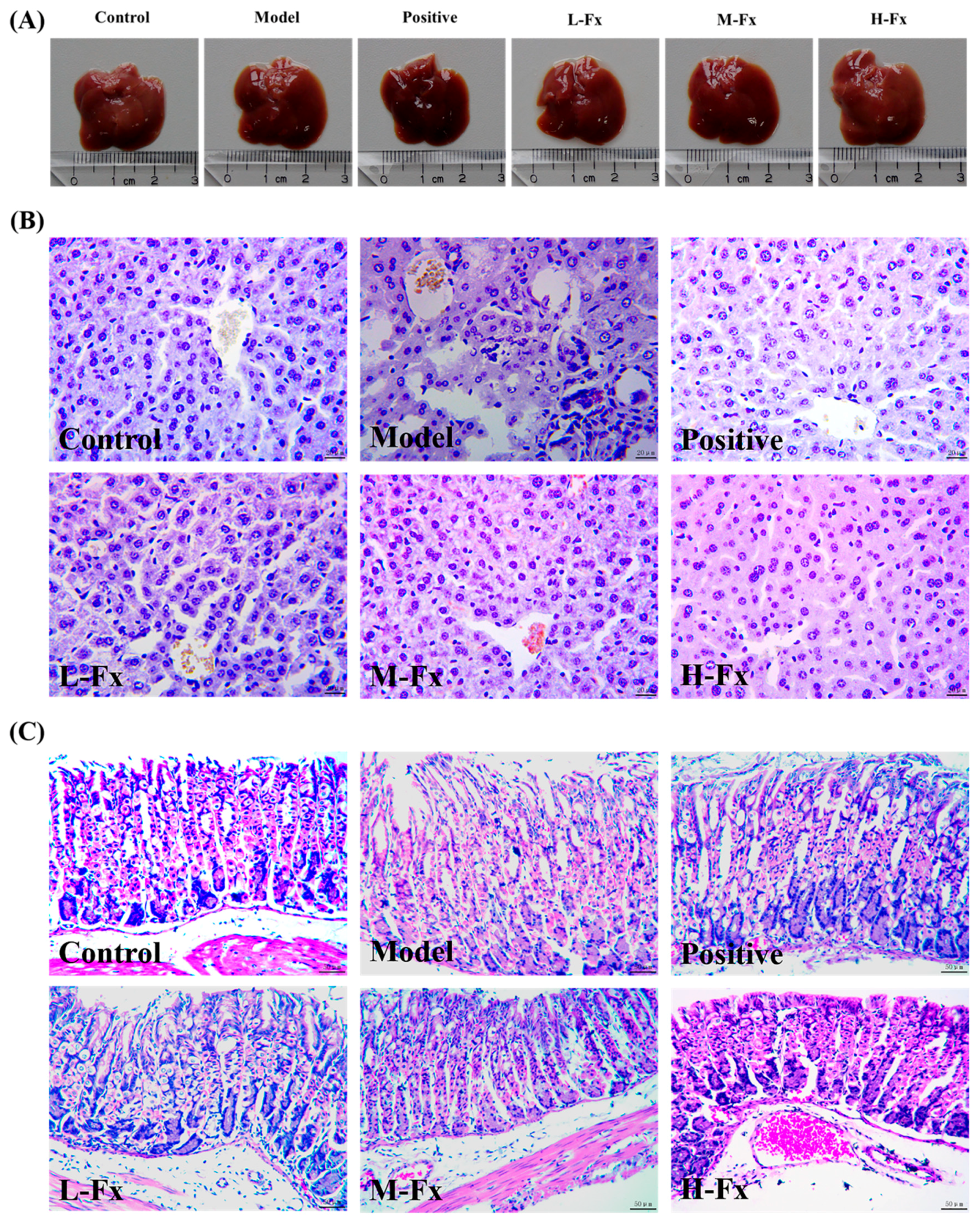 Marinedrugs 17 00552 g002