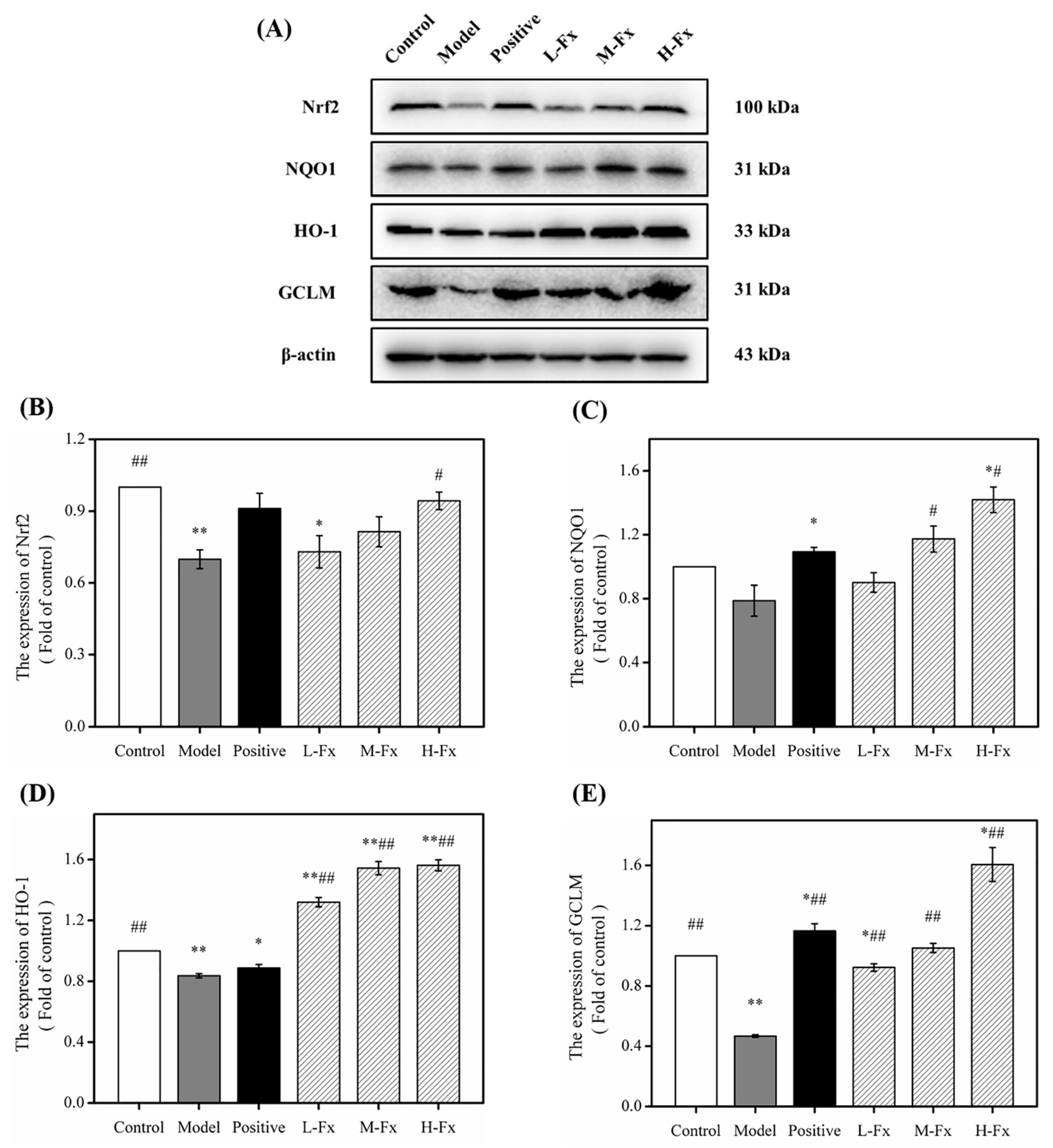 Marinedrugs 17 00552 g007