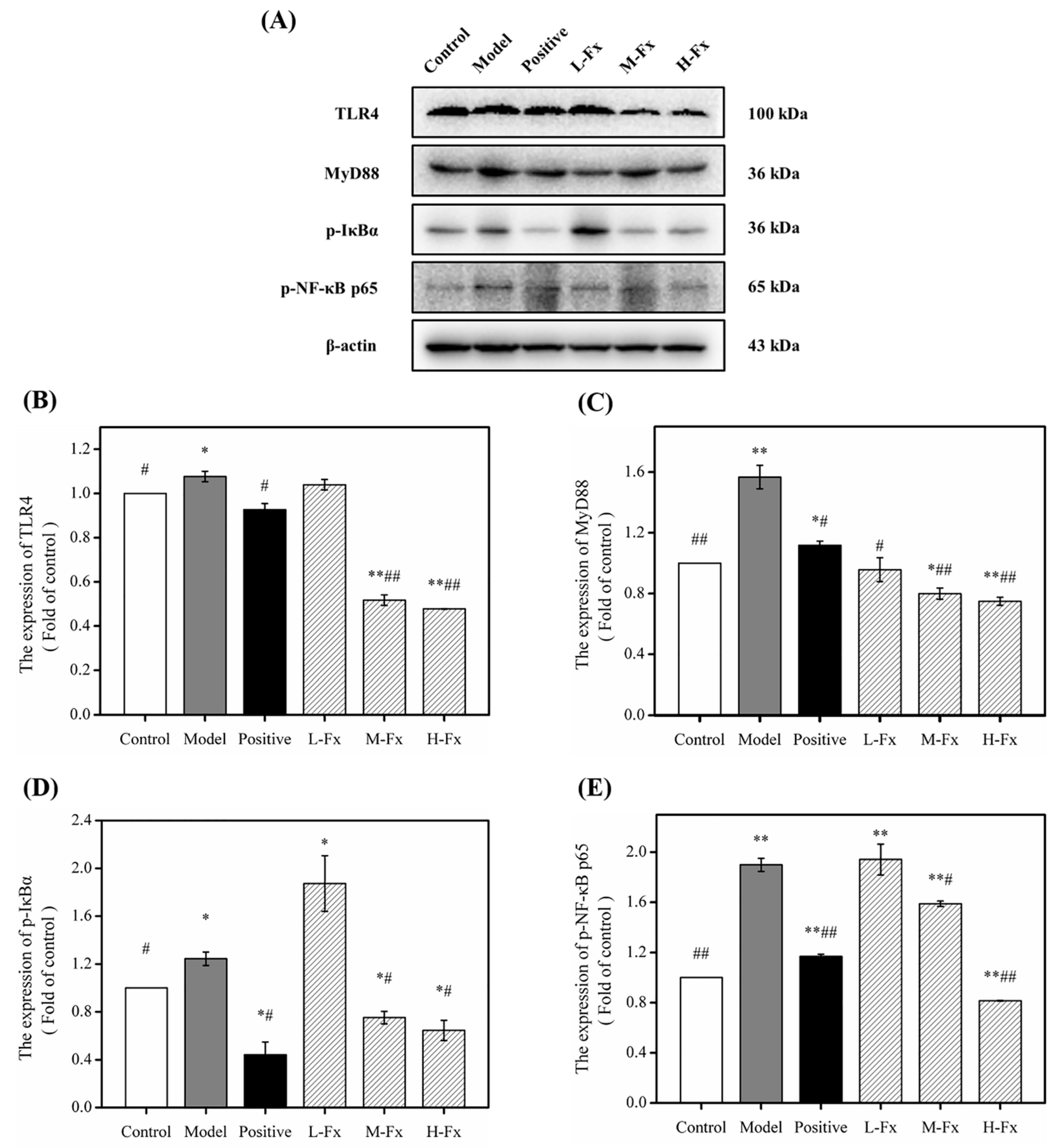 Marinedrugs 17 00552 g008
