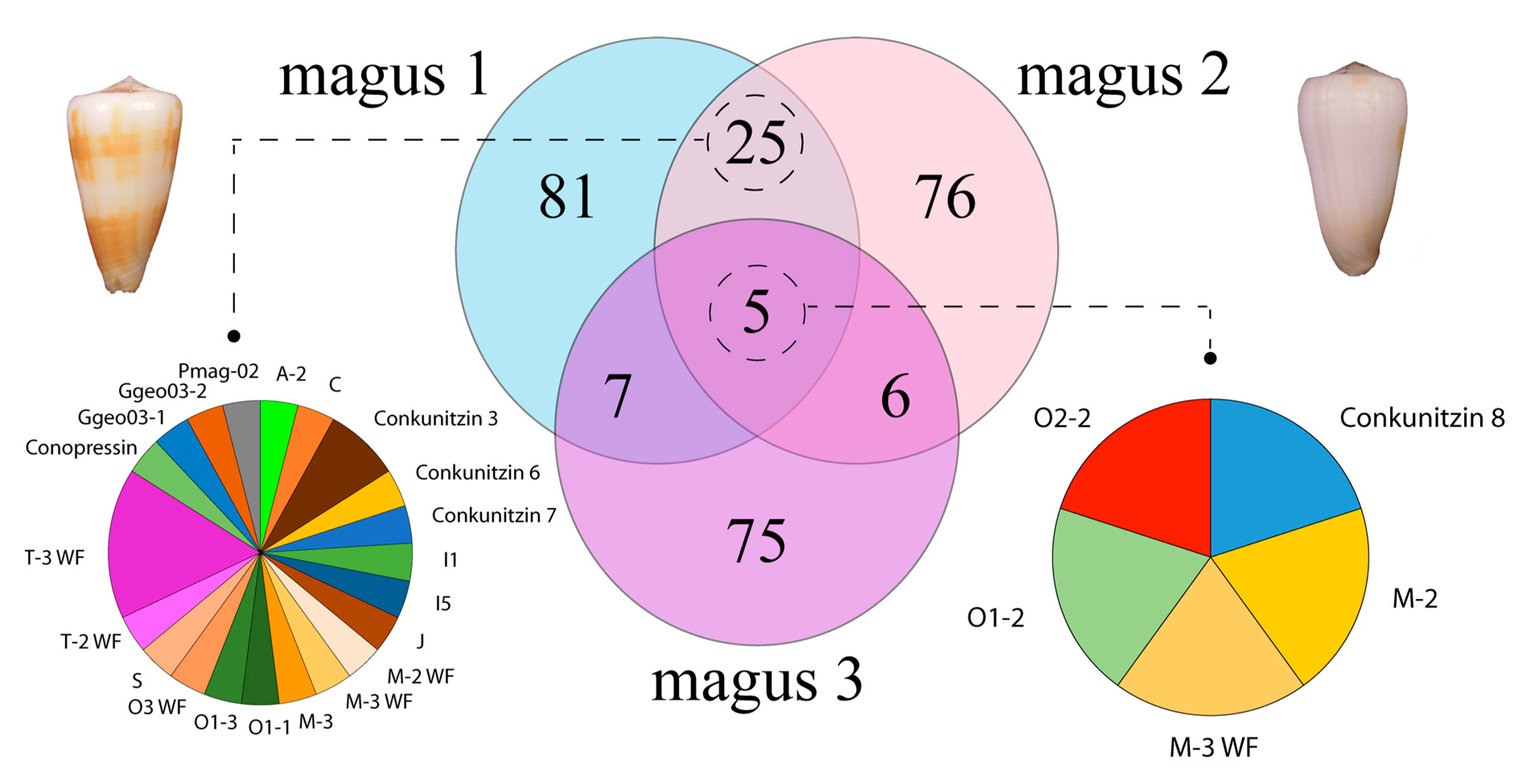 Marinedrugs 17 00553 g001 Marinedrugs 17 00553 g001