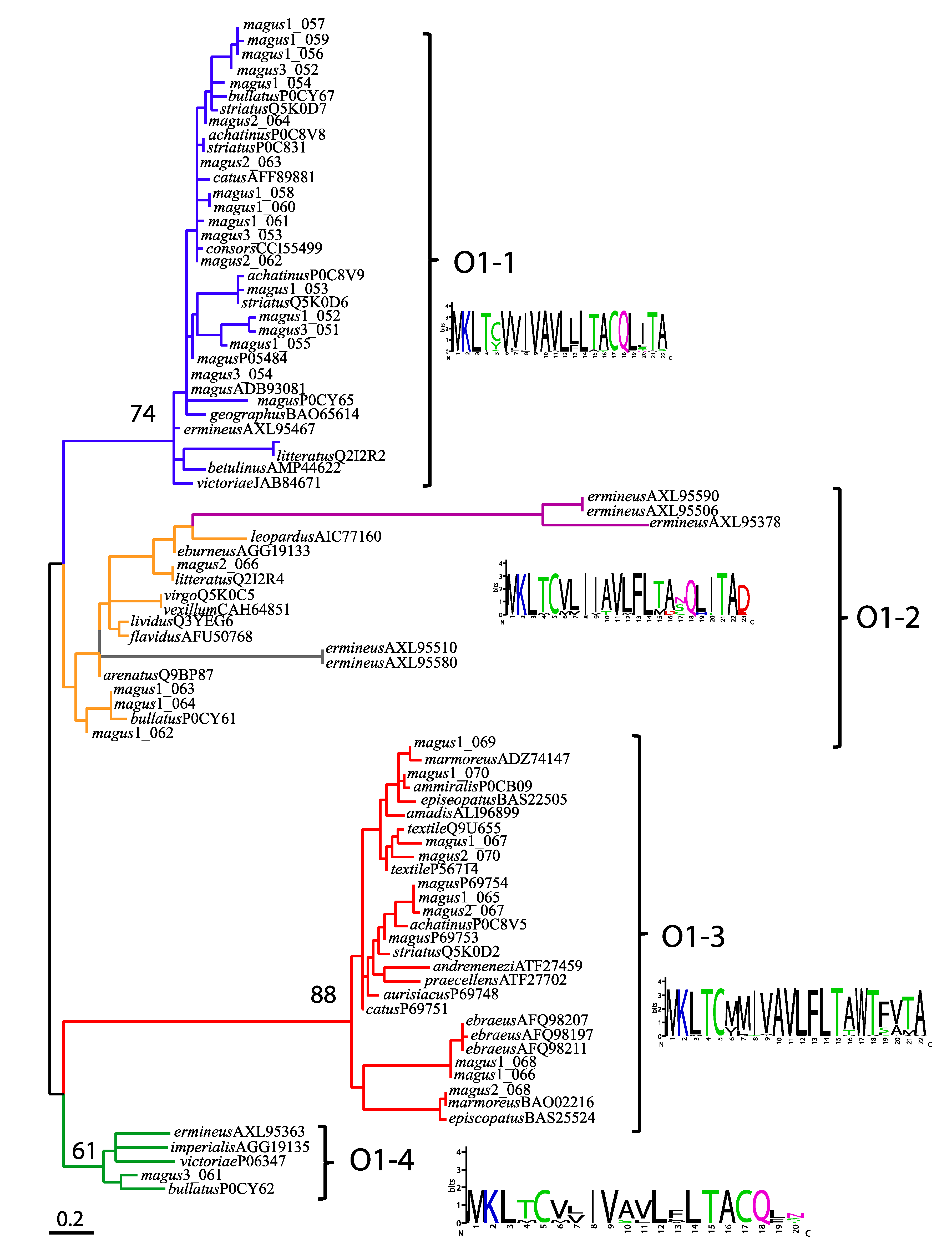 Marinedrugs 17 00553 g004 Marinedrugs 17 00553 g004
