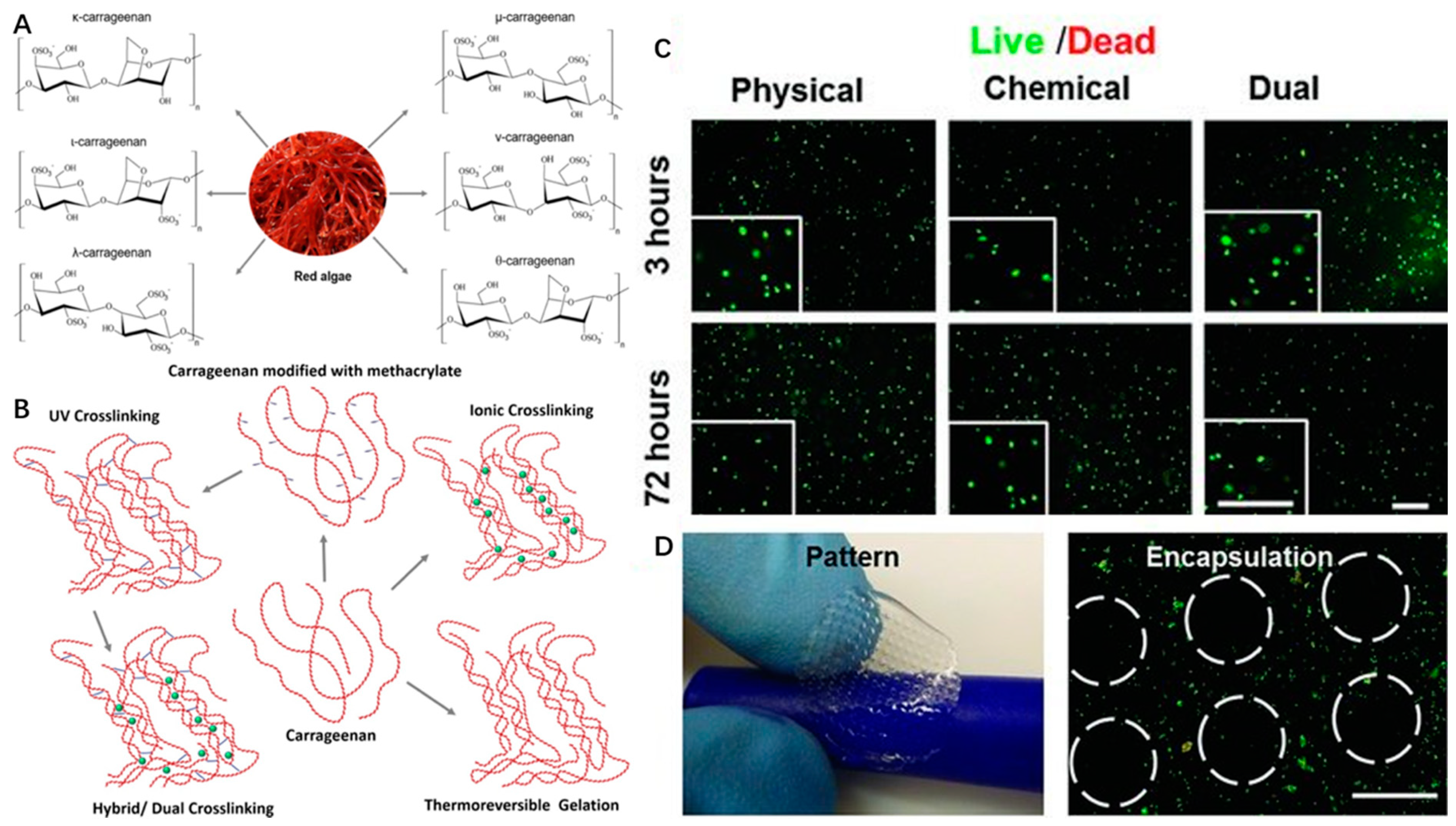 Marinedrugs 17 00555 g004