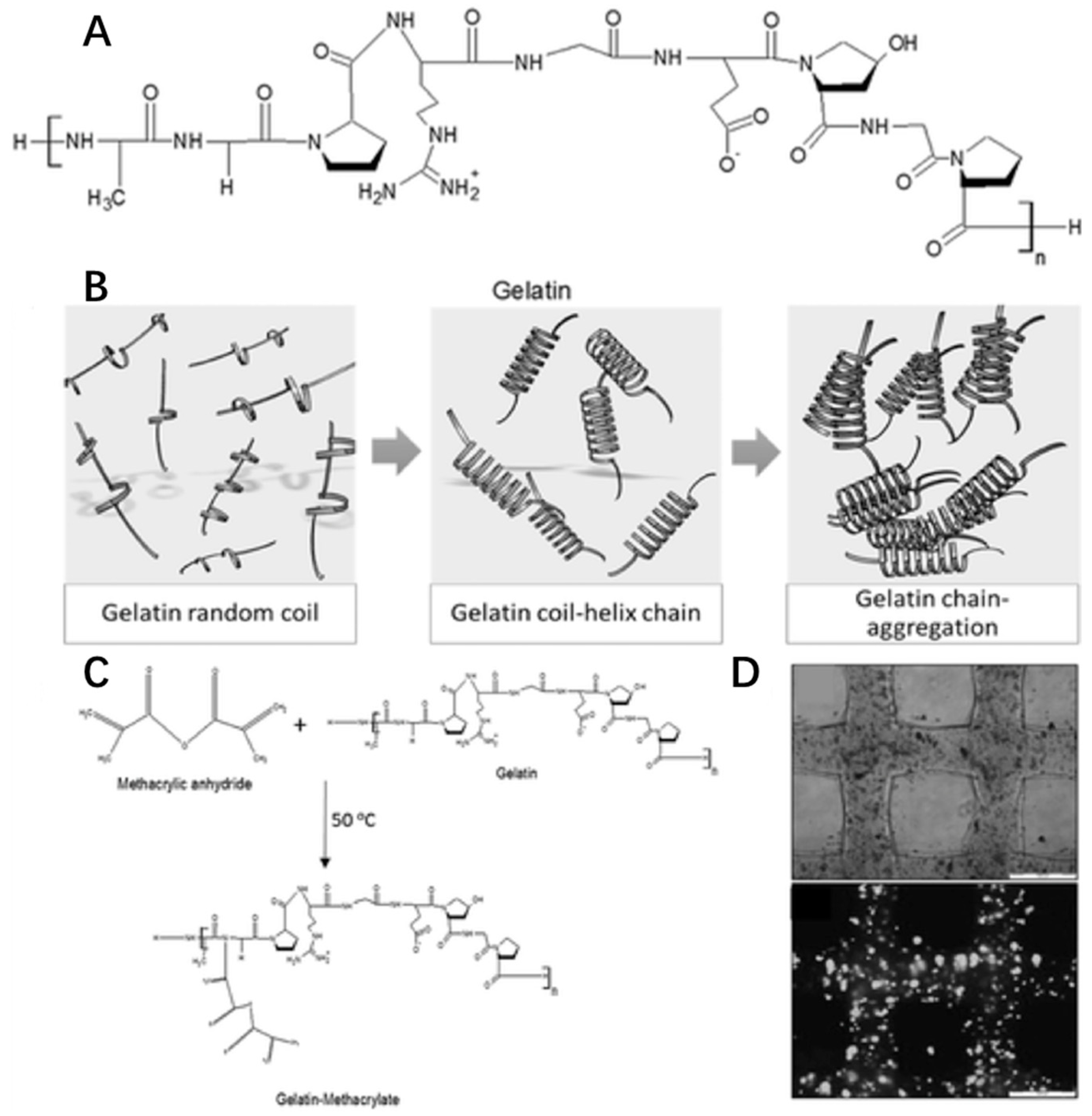 Marinedrugs 17 00555 g008