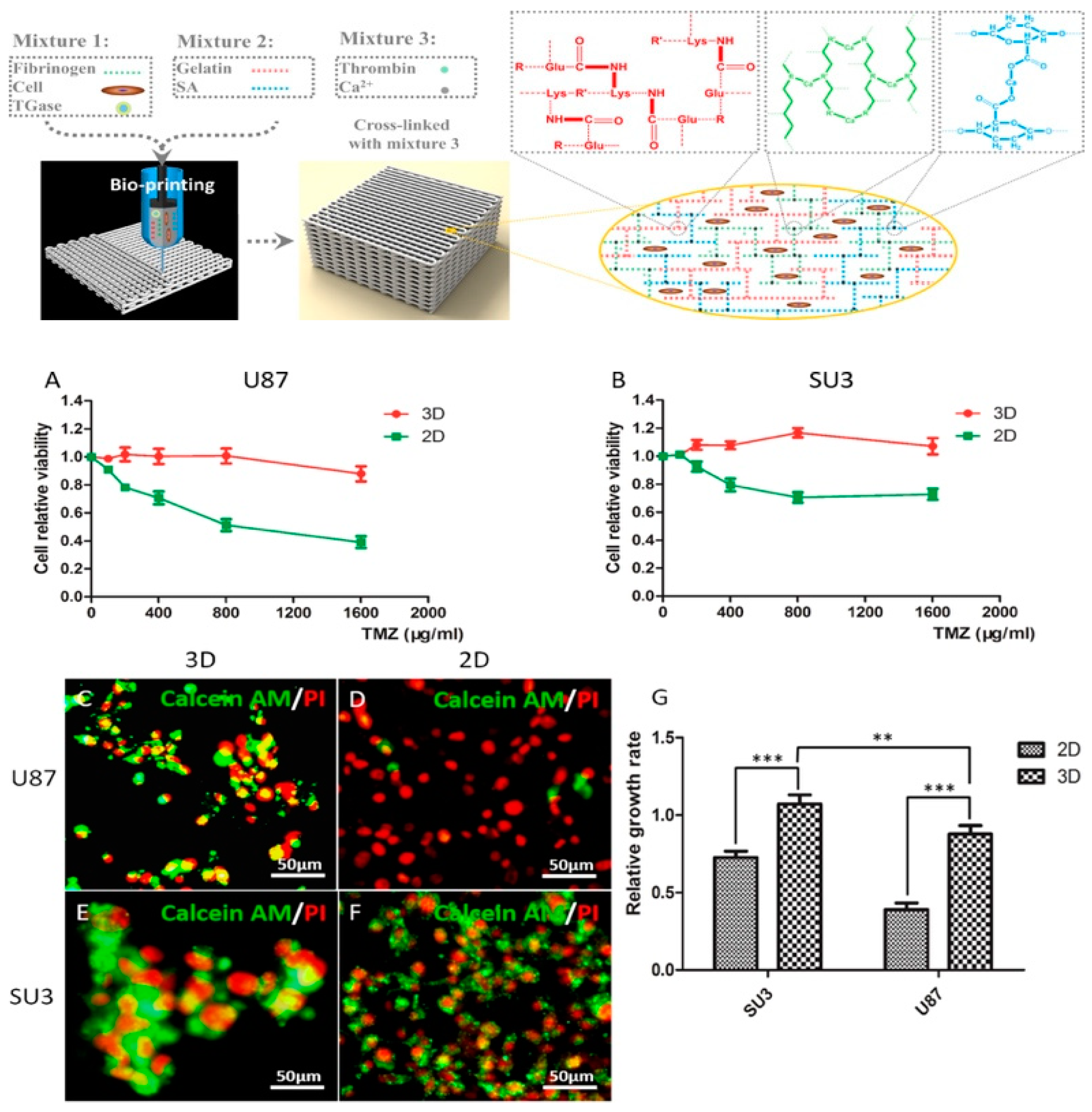 Marinedrugs 17 00555 g010