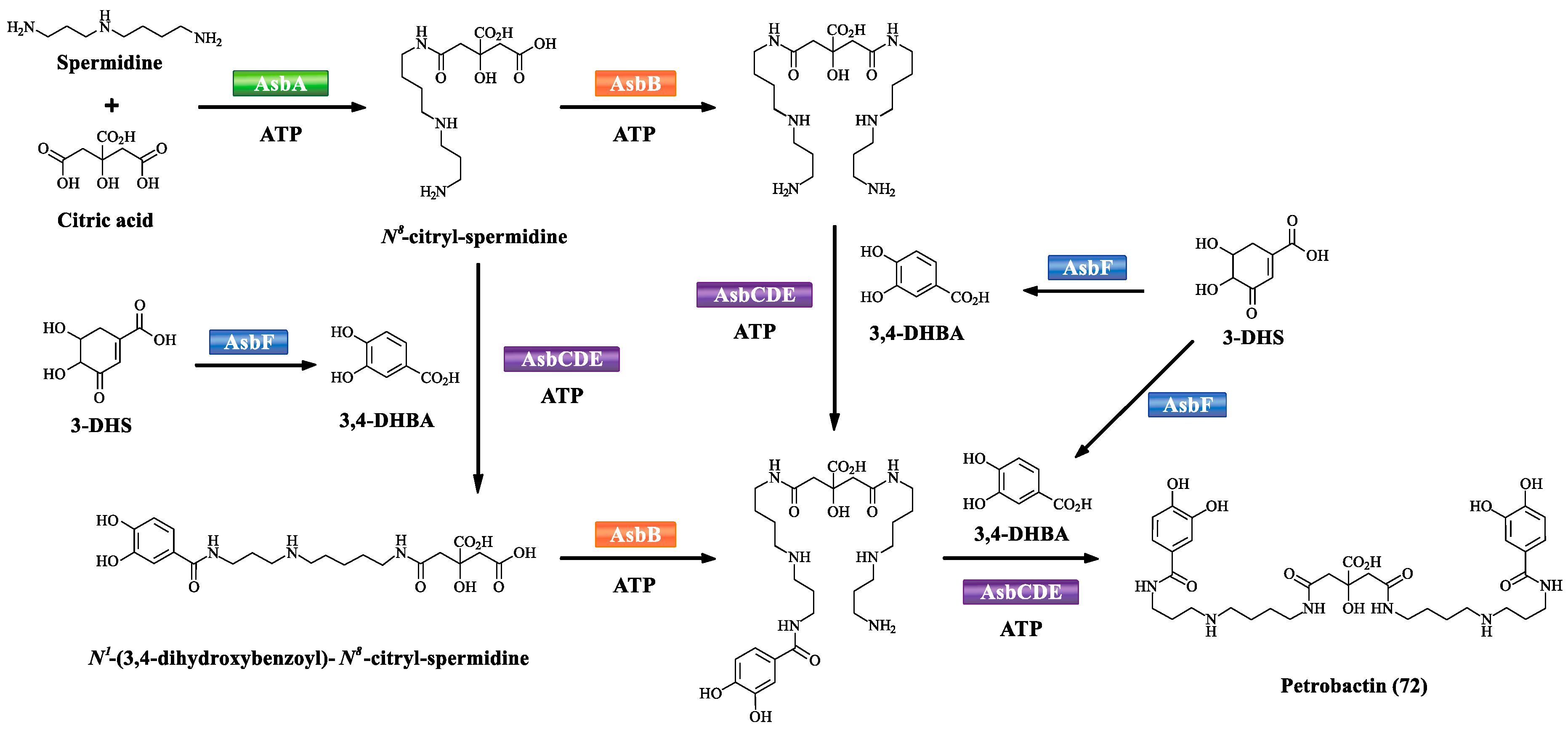 Marinedrugs 17 00562 sch006