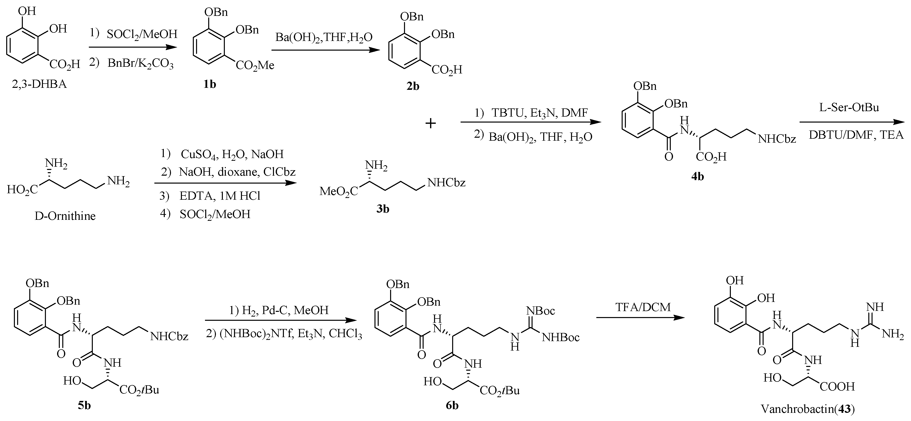 Marinedrugs 17 00562 sch008