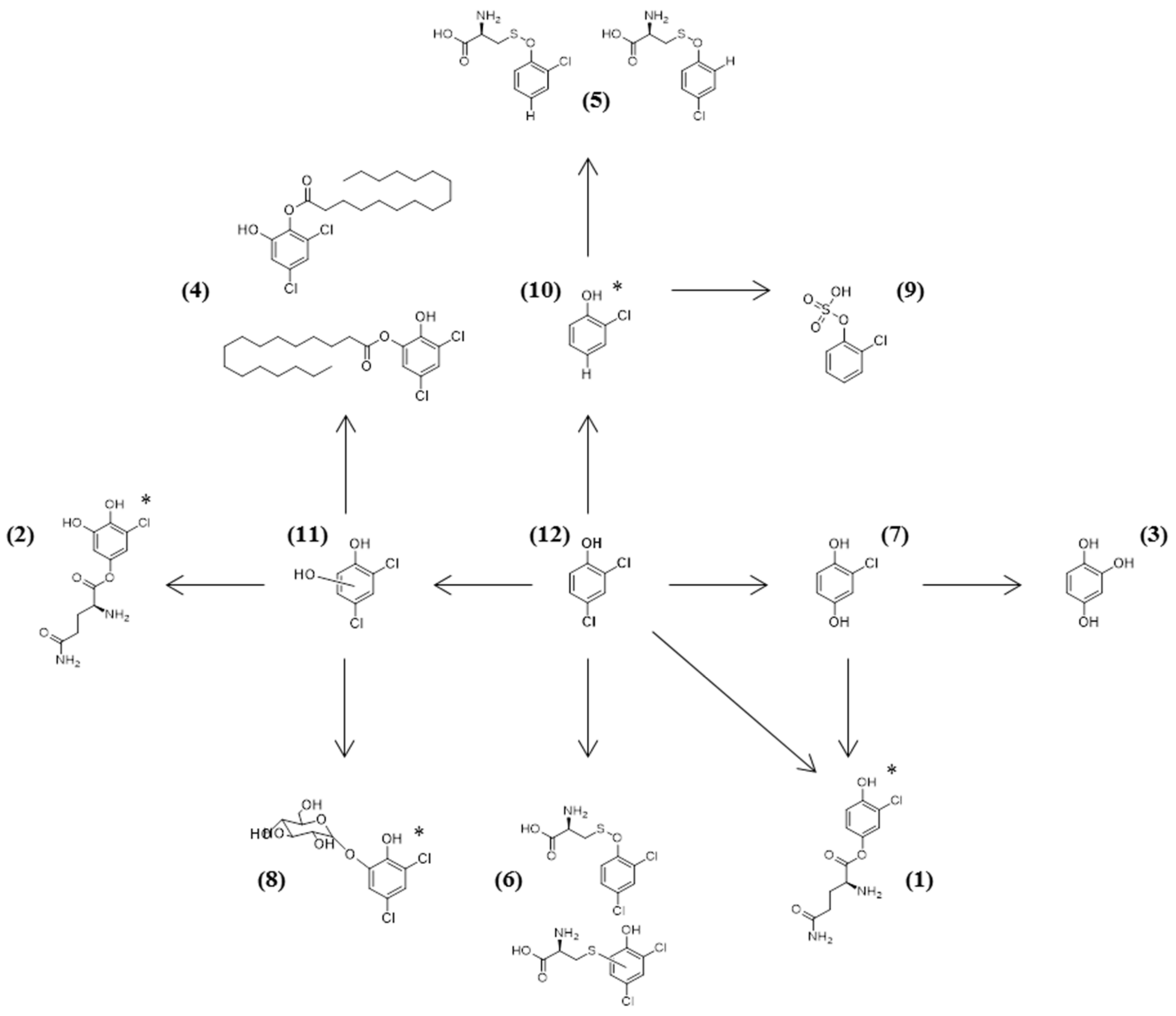 Marinedrugs 17 00564 g001 Marinedrugs 17 00564 g001