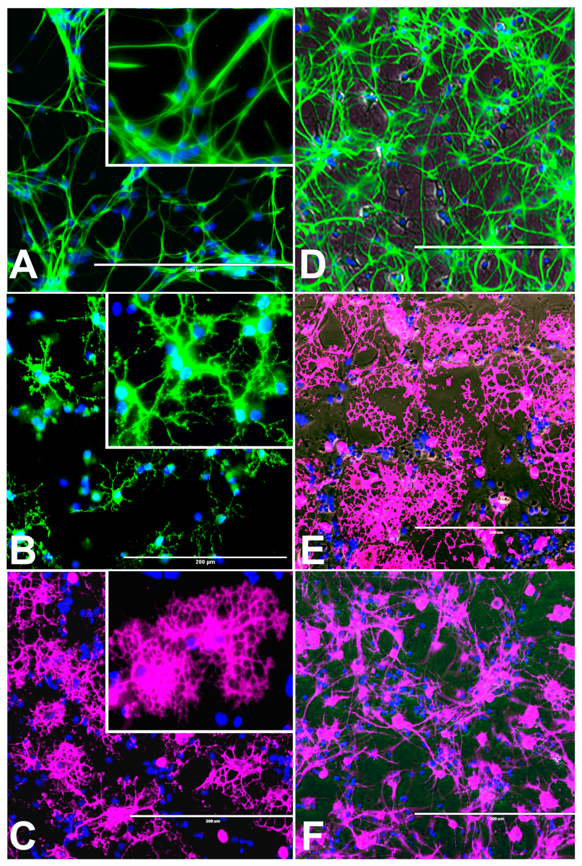 Marinedrugs 17 00566 g001