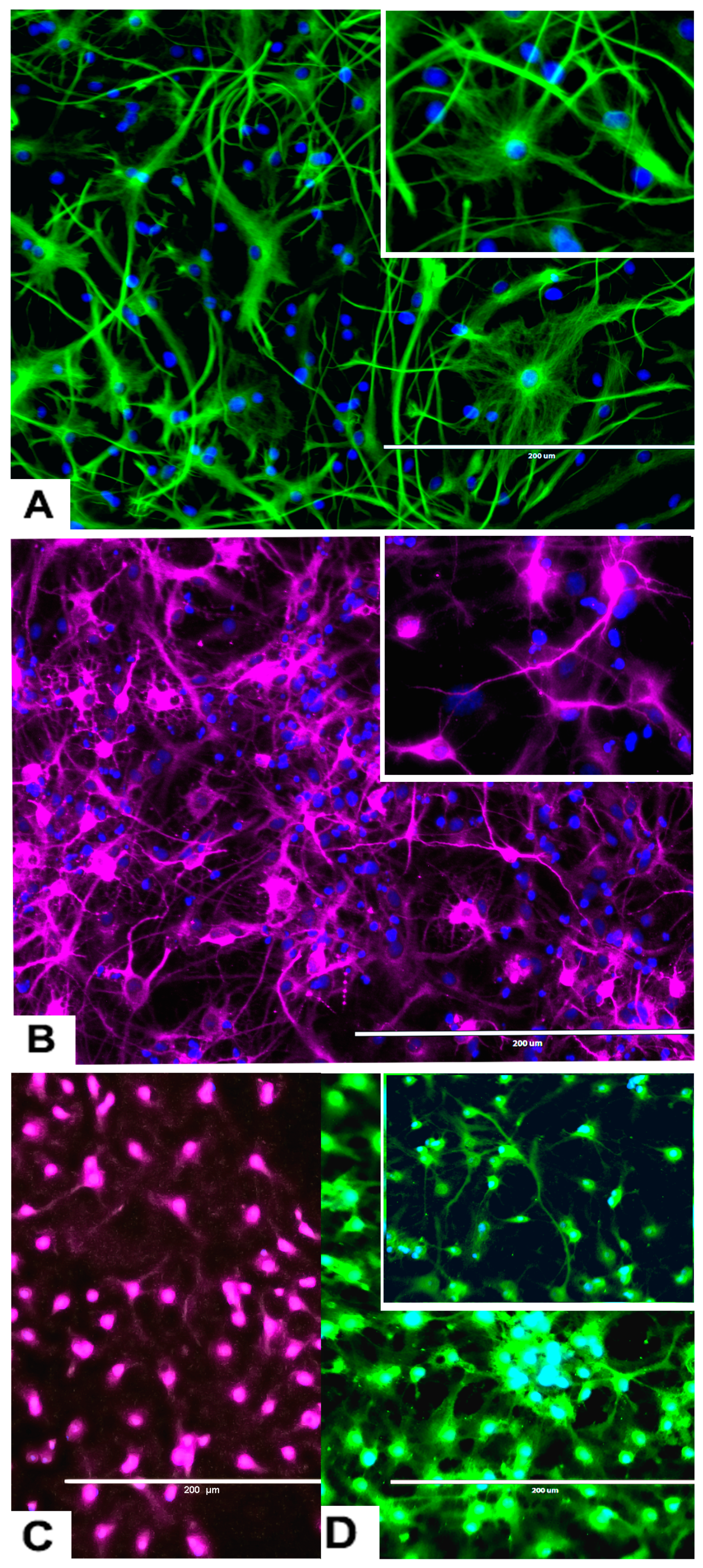 Marinedrugs 17 00566 g003