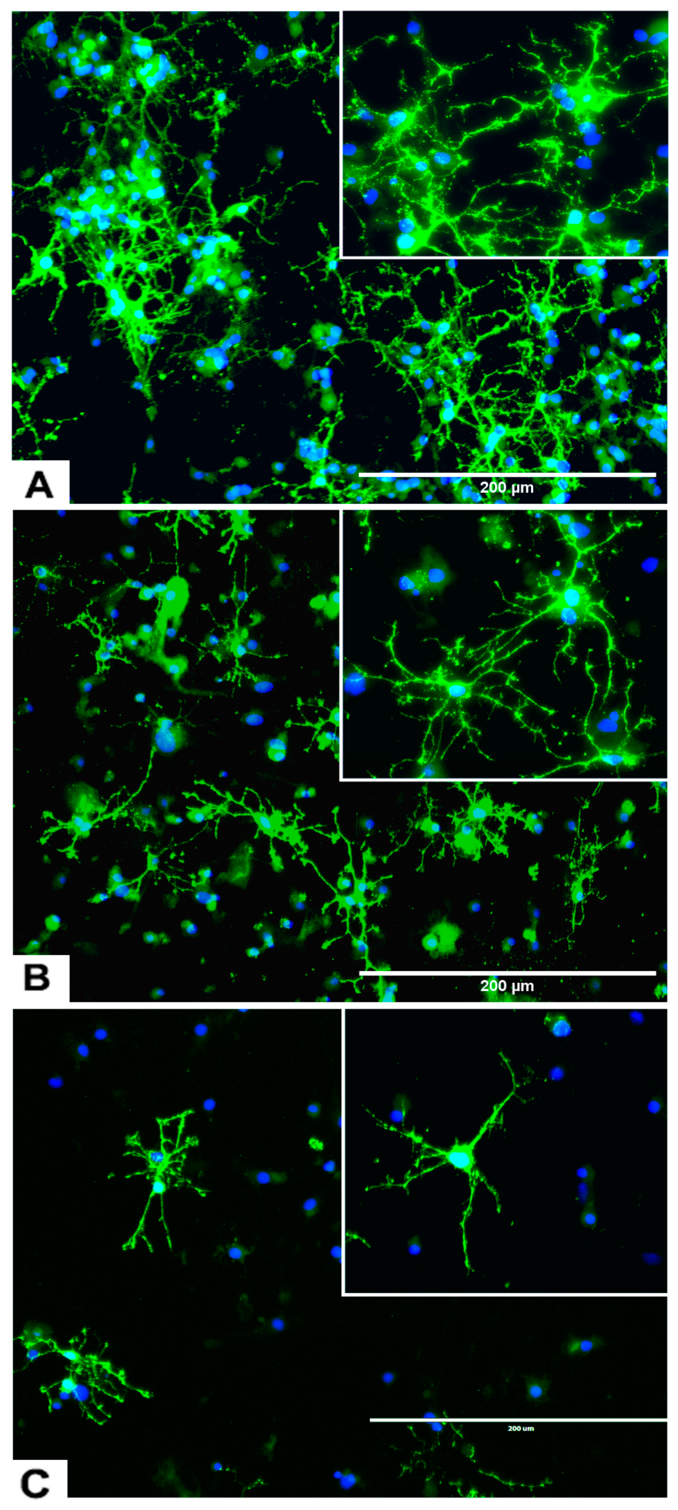 Marinedrugs 17 00566 g007