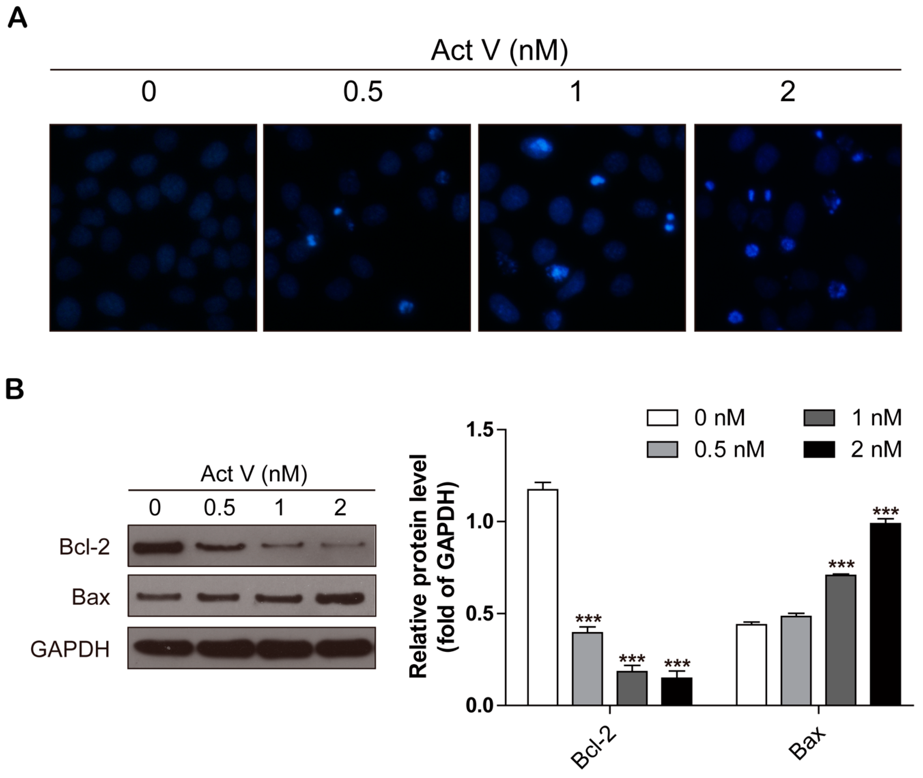 Marinedrugs 17 00572 g003