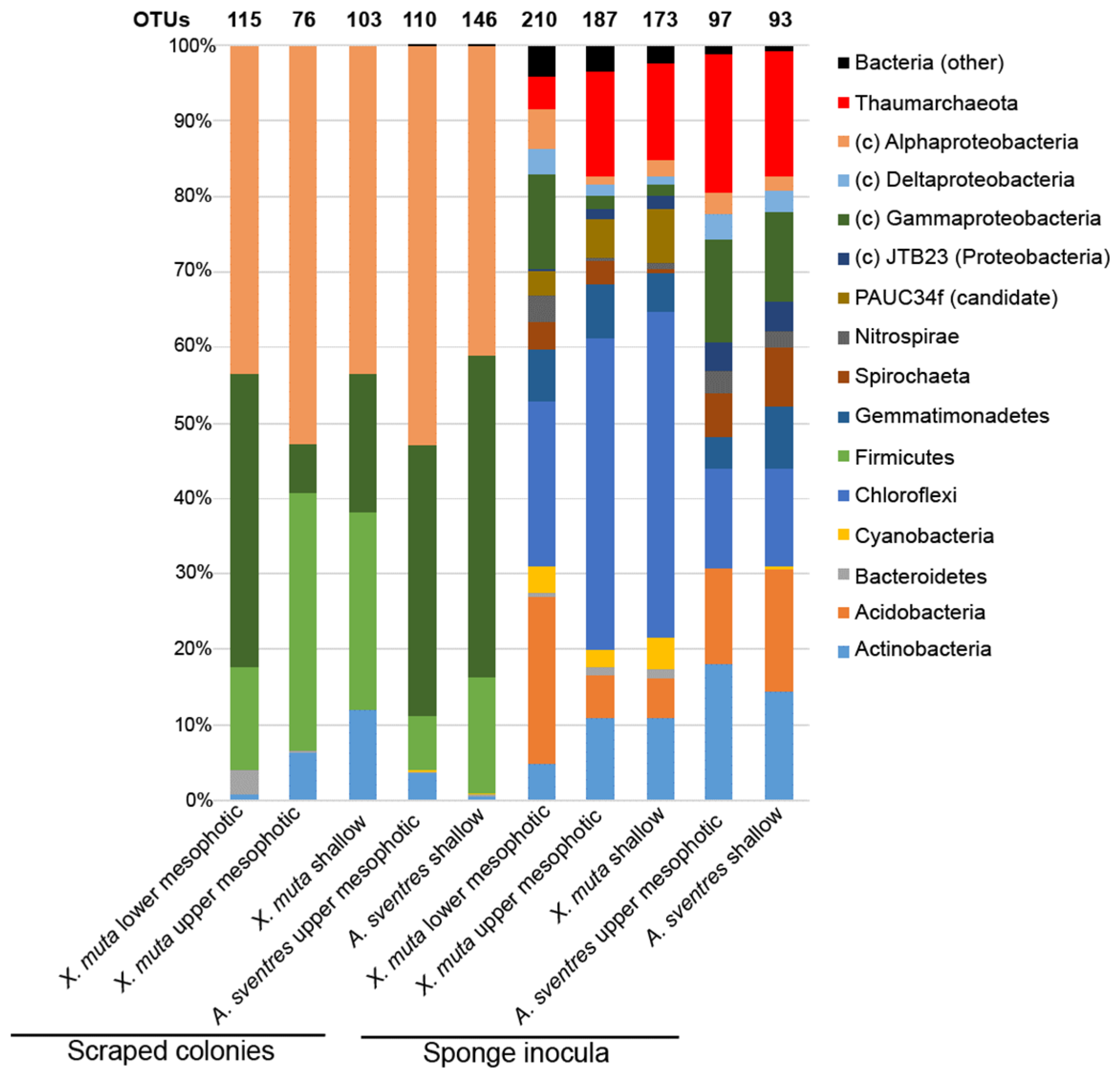 Marinedrugs 17 00578 g001