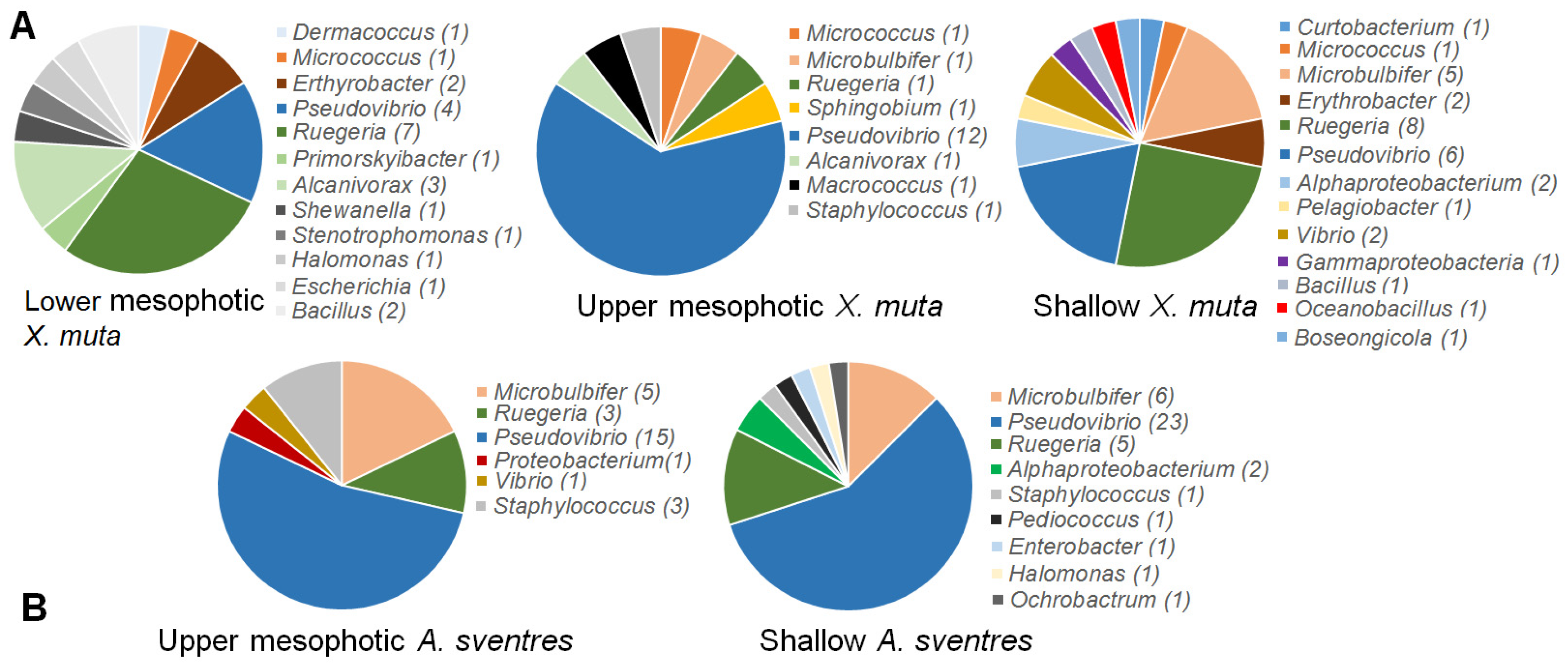 Marinedrugs 17 00578 g004