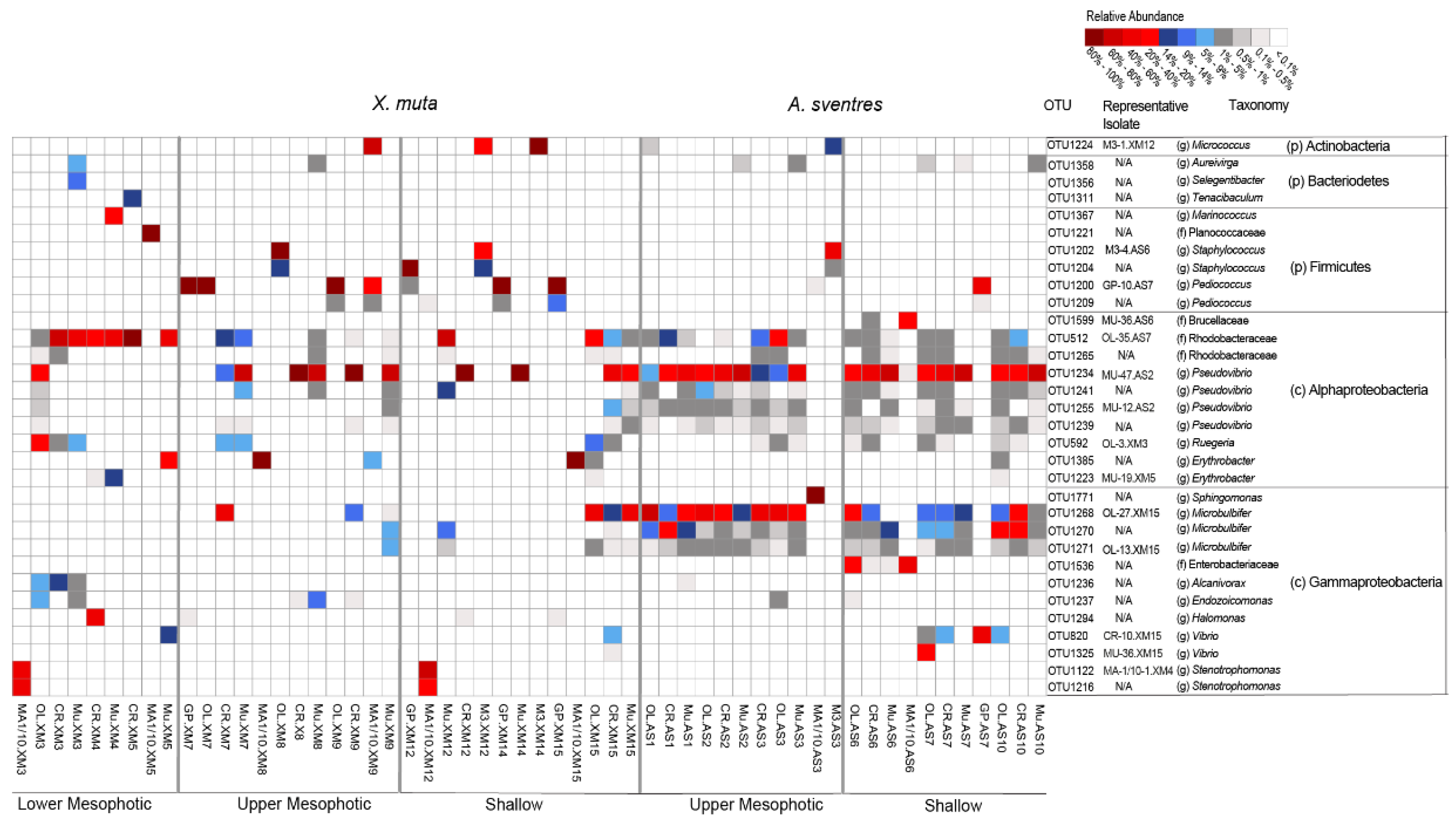 Marinedrugs 17 00578 g005