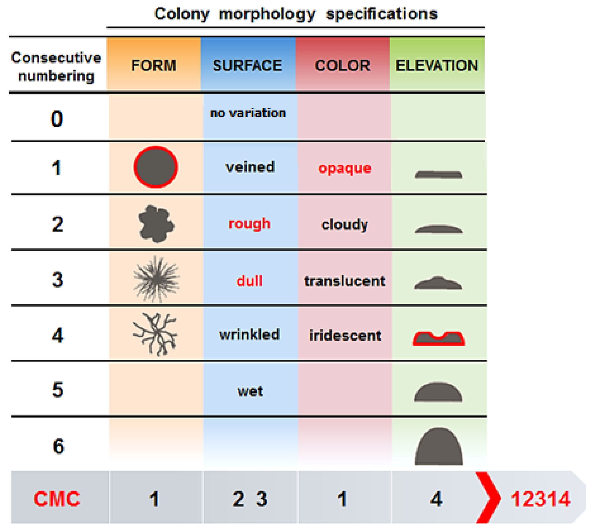 Marinedrugs 17 00578 g006