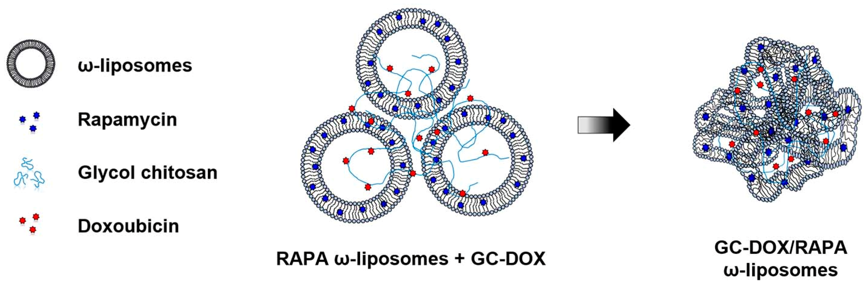 Marinedrugs 17 00581 g001