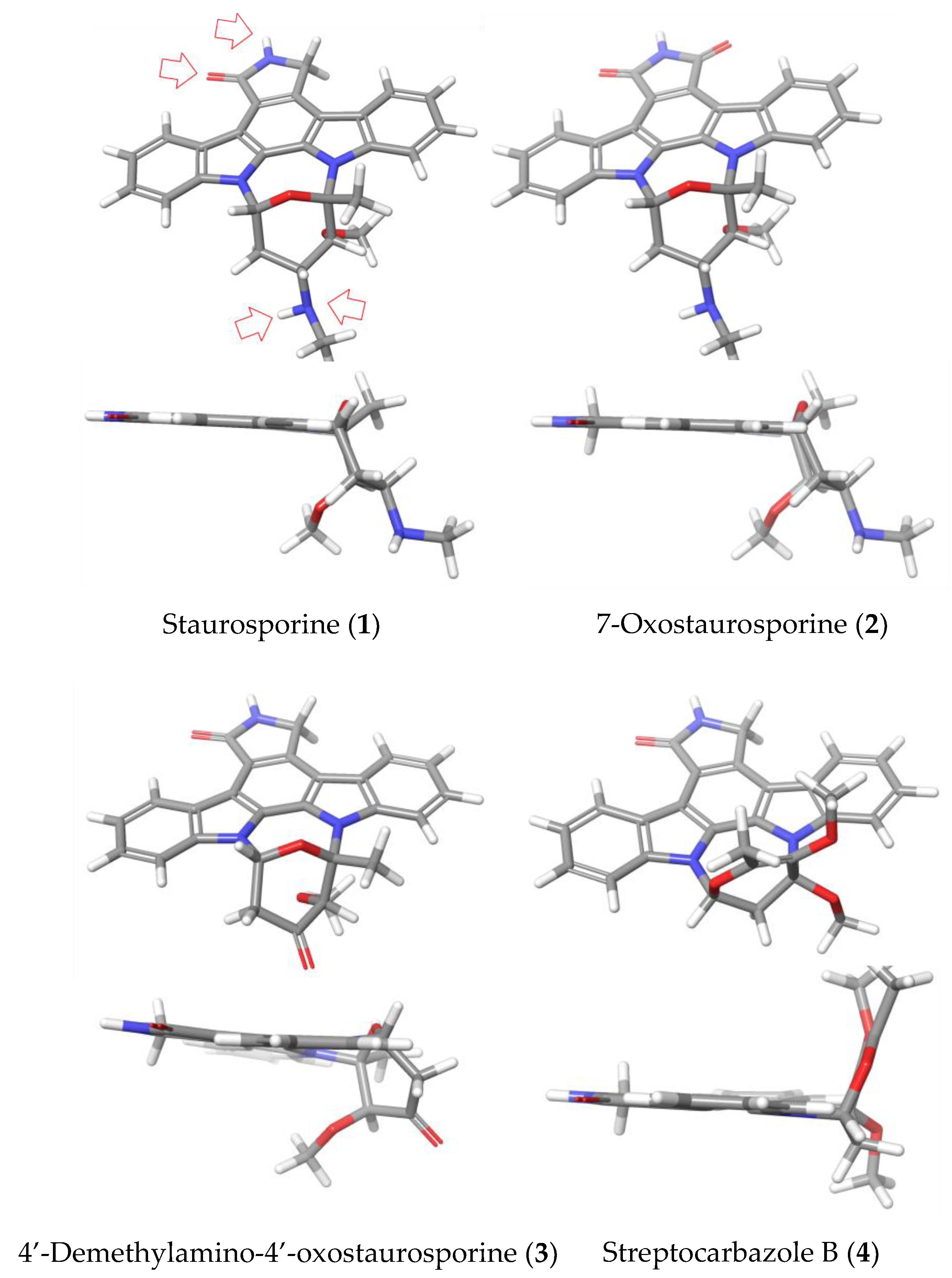 Marinedrugs 17 00588 g008 Marinedrugs 17 00588 g008