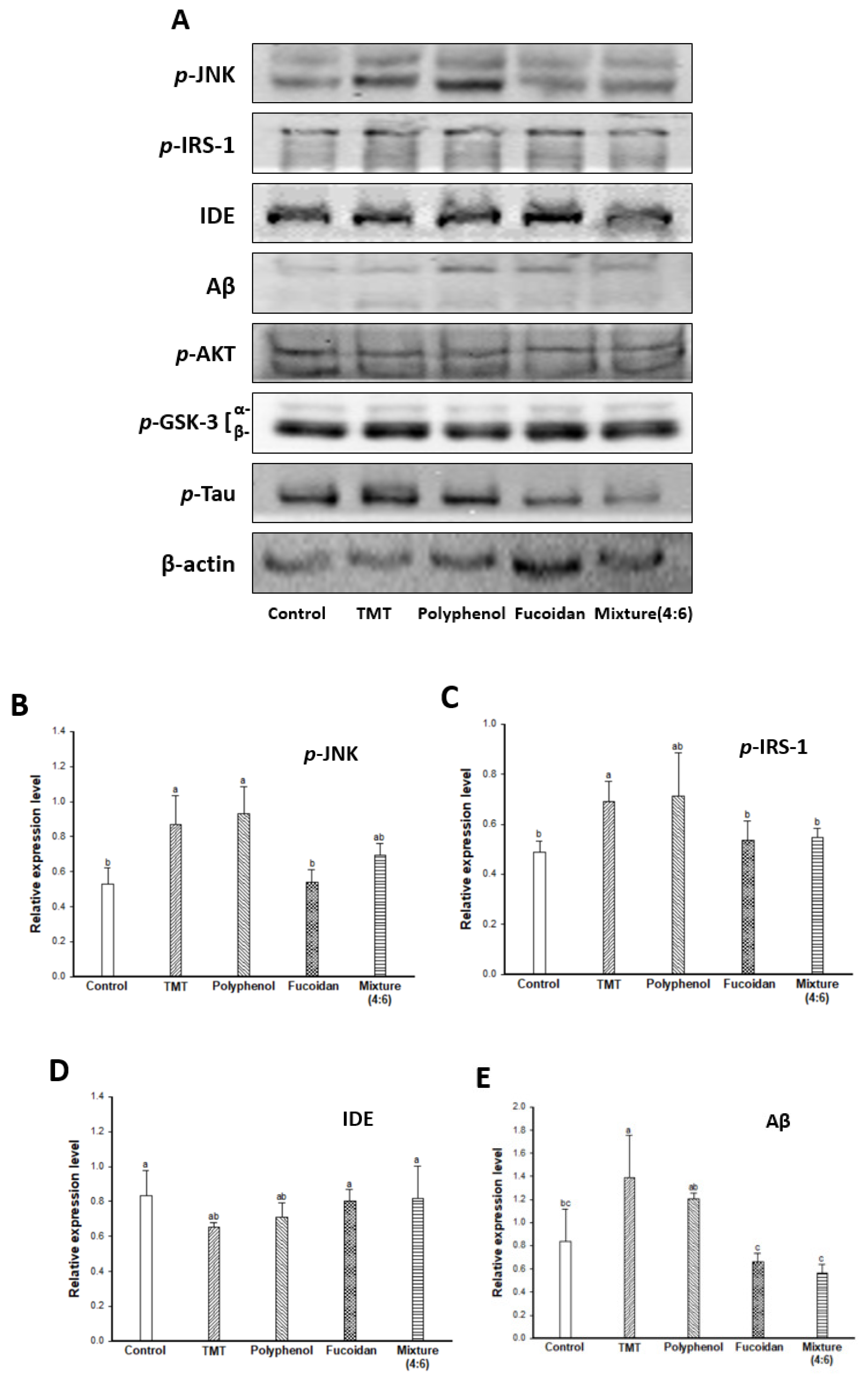 Marinedrugs 17 00591 g005a