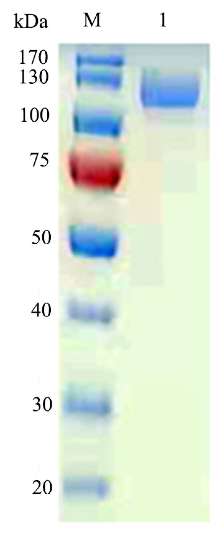 Marinedrugs 17 00599 g003