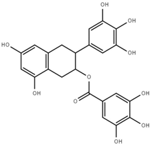 Marinedrugs 17 00610 i005 Marinedrugs 17 00610 i005